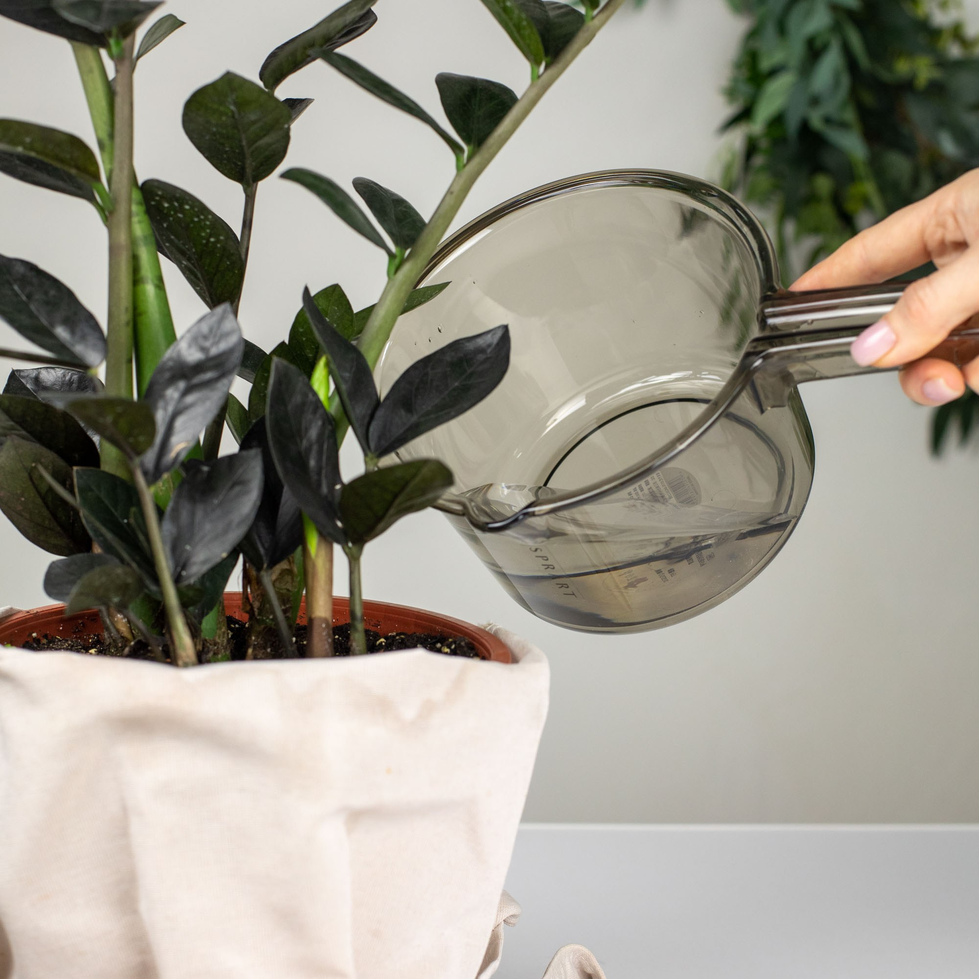 Предметное фото. Фотограф в Костроме, Ярославле, Москве Светлана Заведеева