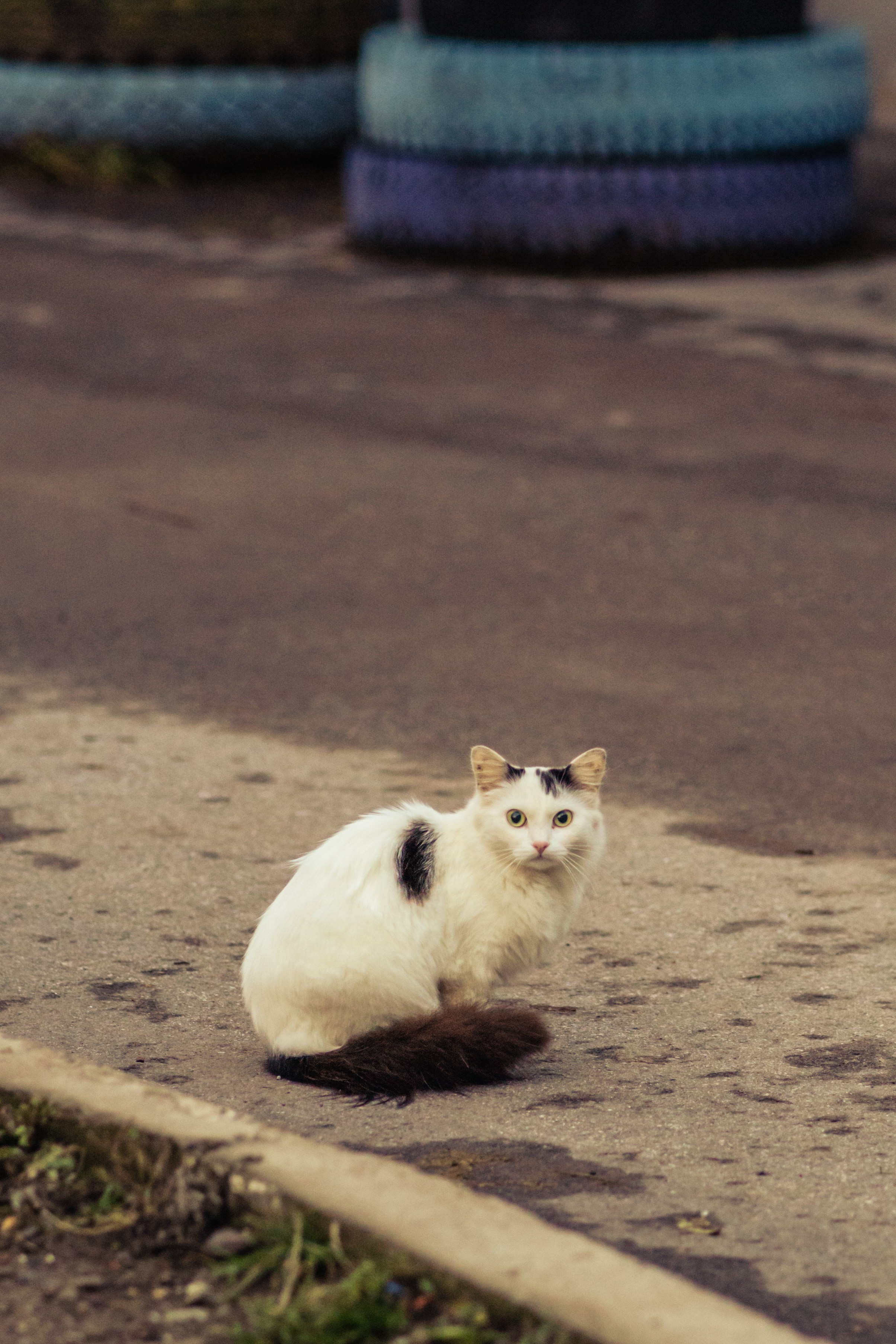 Воркута, Октябрь 2023