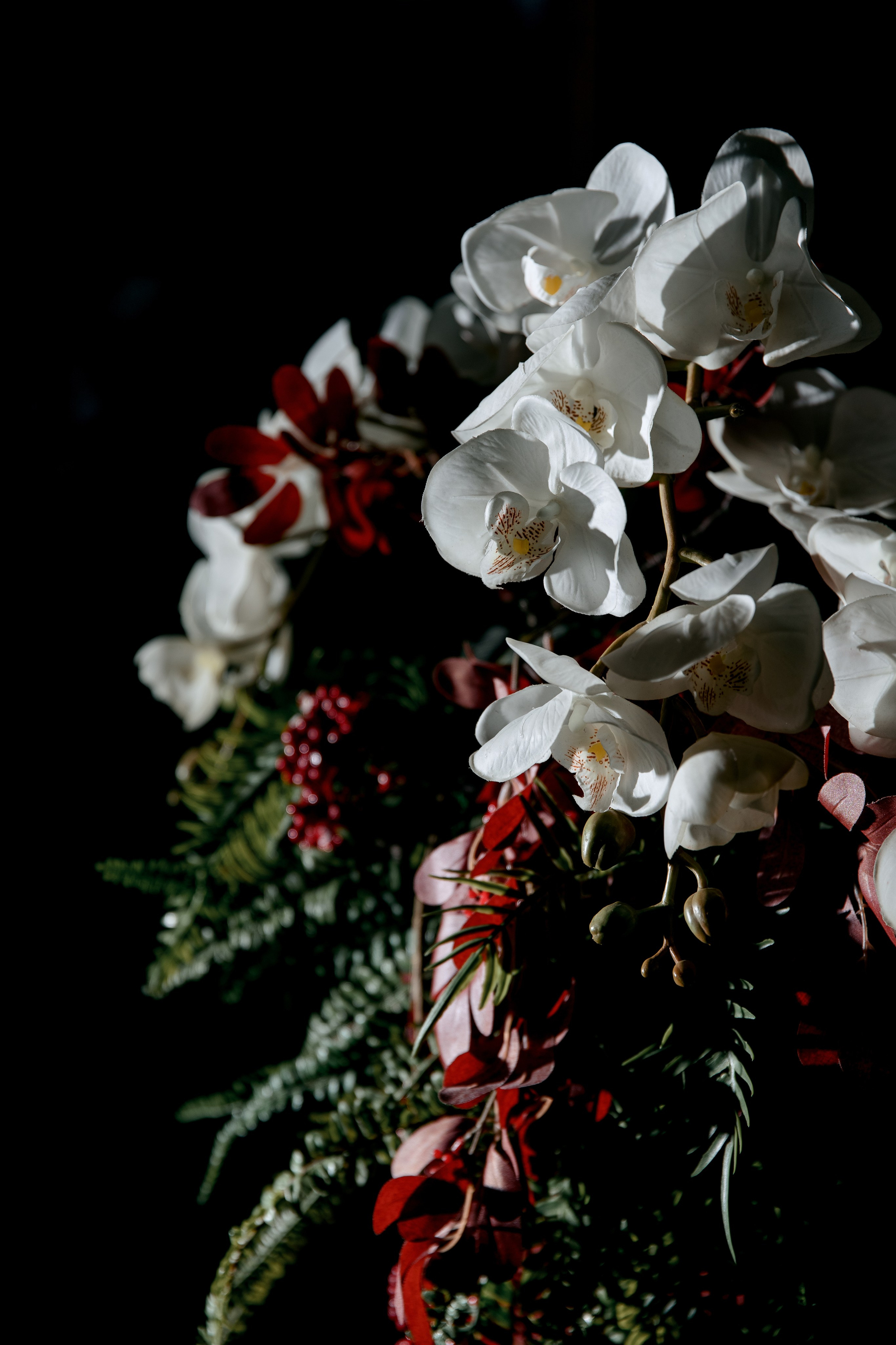 ПОКОЛЕНИЕ БУДУЩЕГО. Фотограф в Красноярске