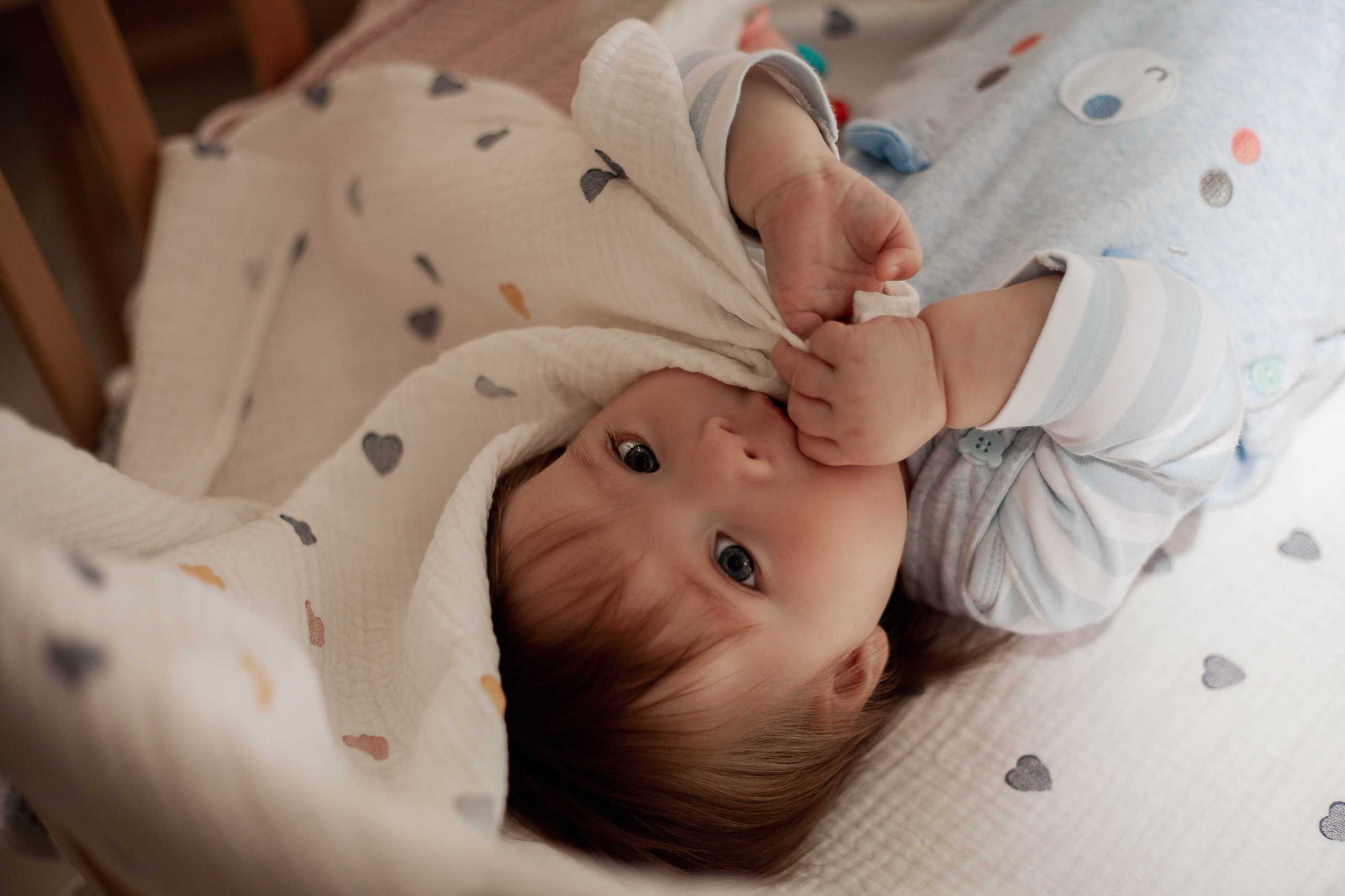 Colibri-kids. Наталья Косьянова. Ваш фотограф. Москва