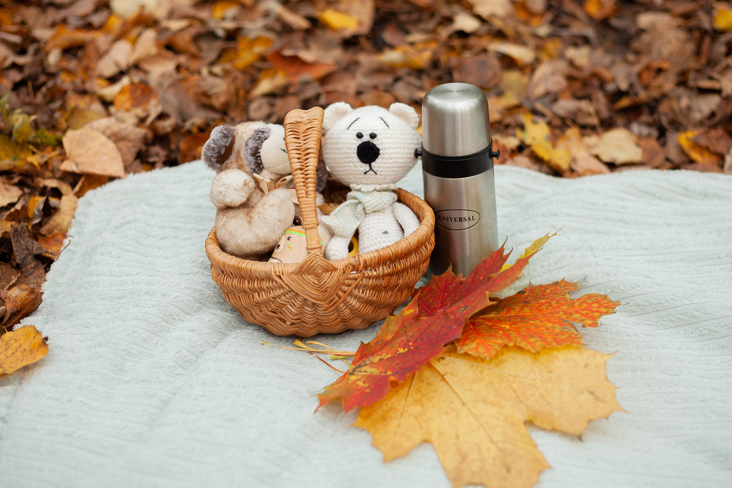 Елена и Витя. Наталья Косьянова. Ваш фотограф. Москва