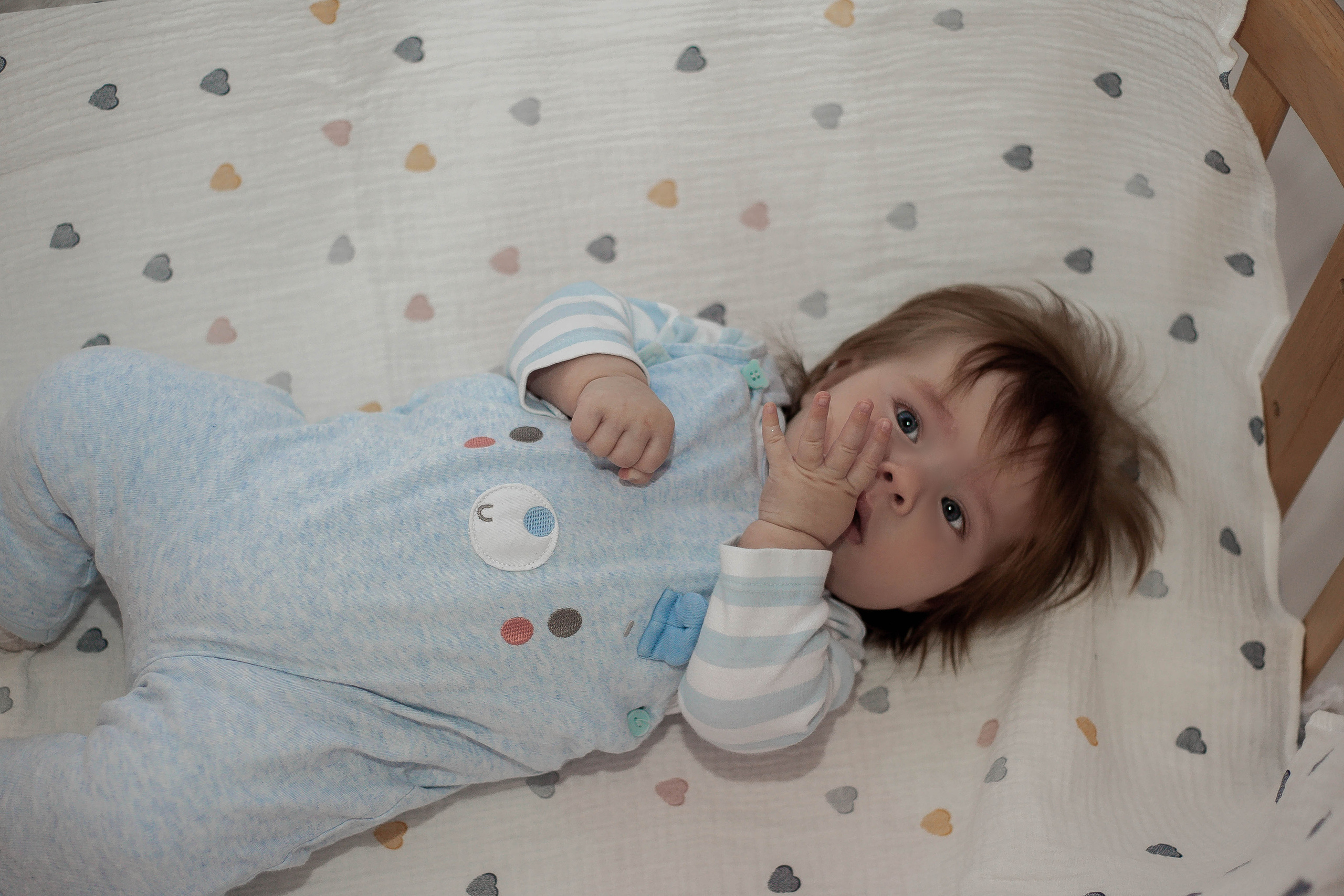 Colibri-kids. Наталья Косьянова. Ваш фотограф. Москва