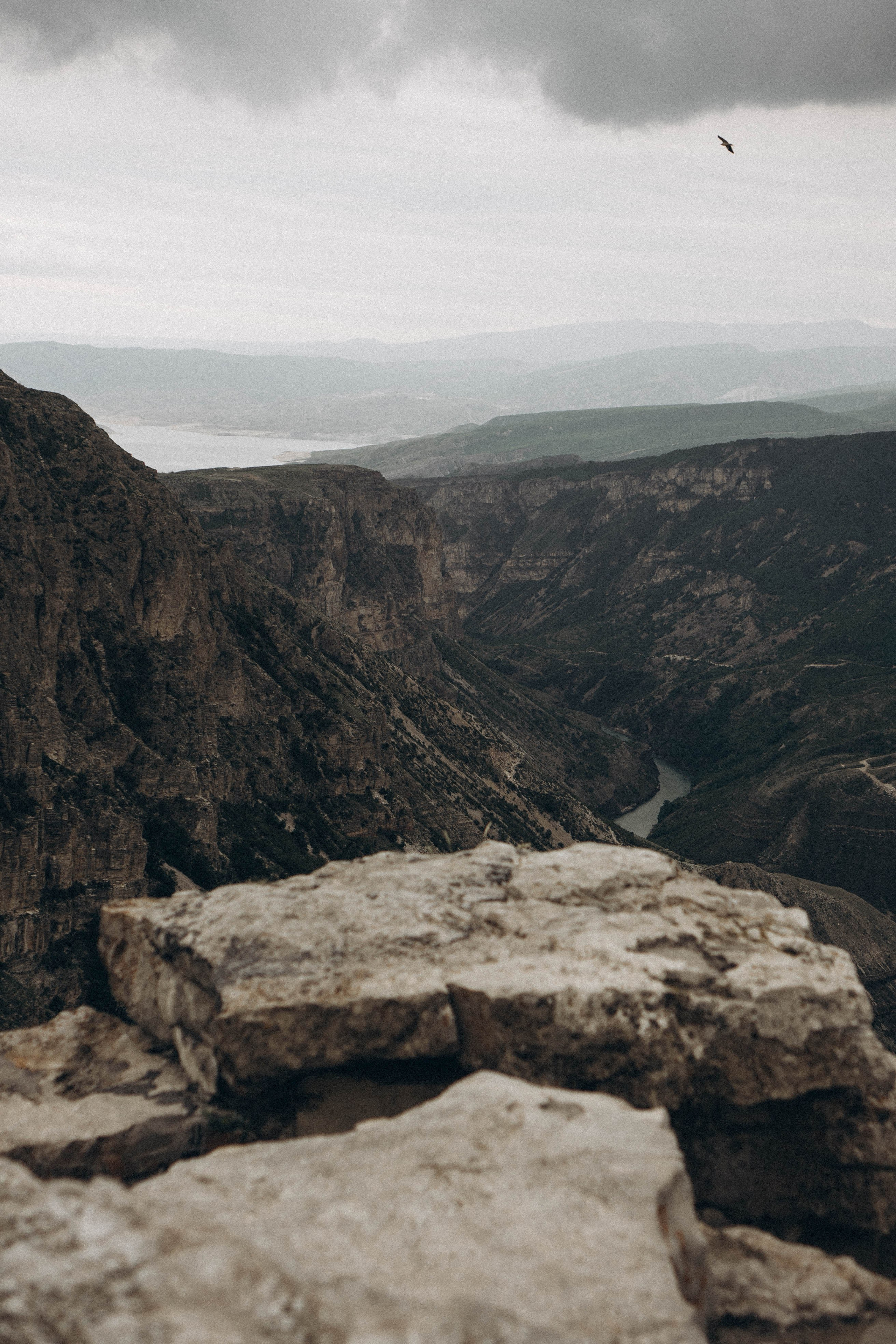 Кавказ. Профессиональный фотограф, Санкт-Петербург — Виктория Богомолова