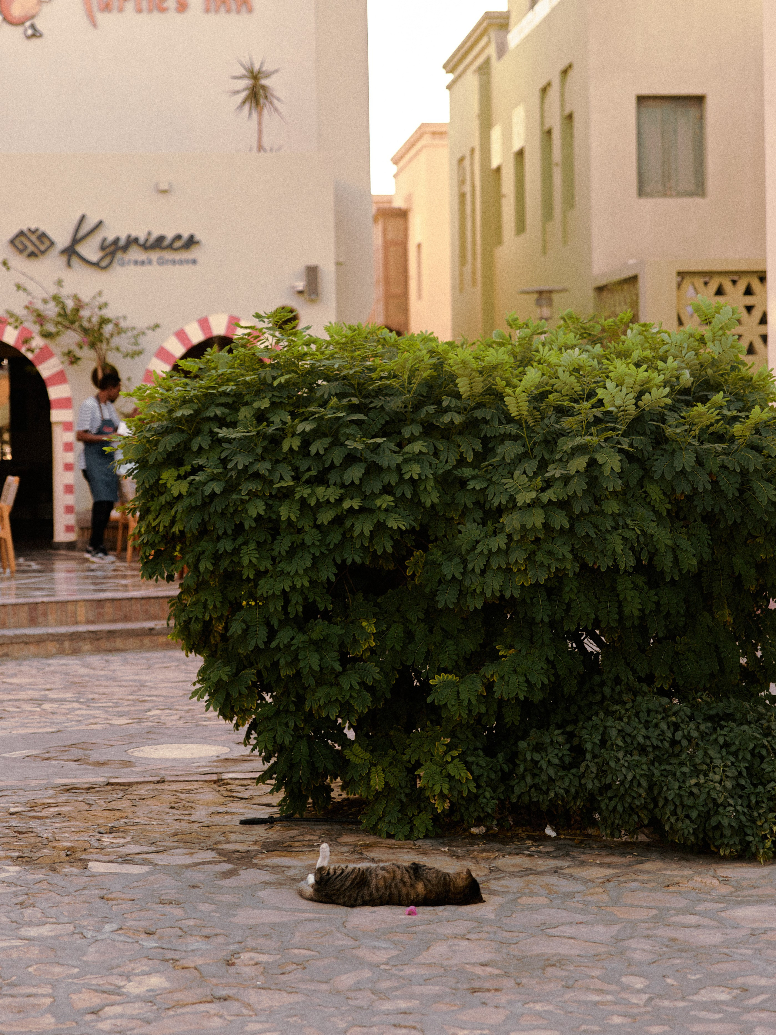 Улицы. Jorgis Talè — photographer, kind person, teacher of arts and other mag