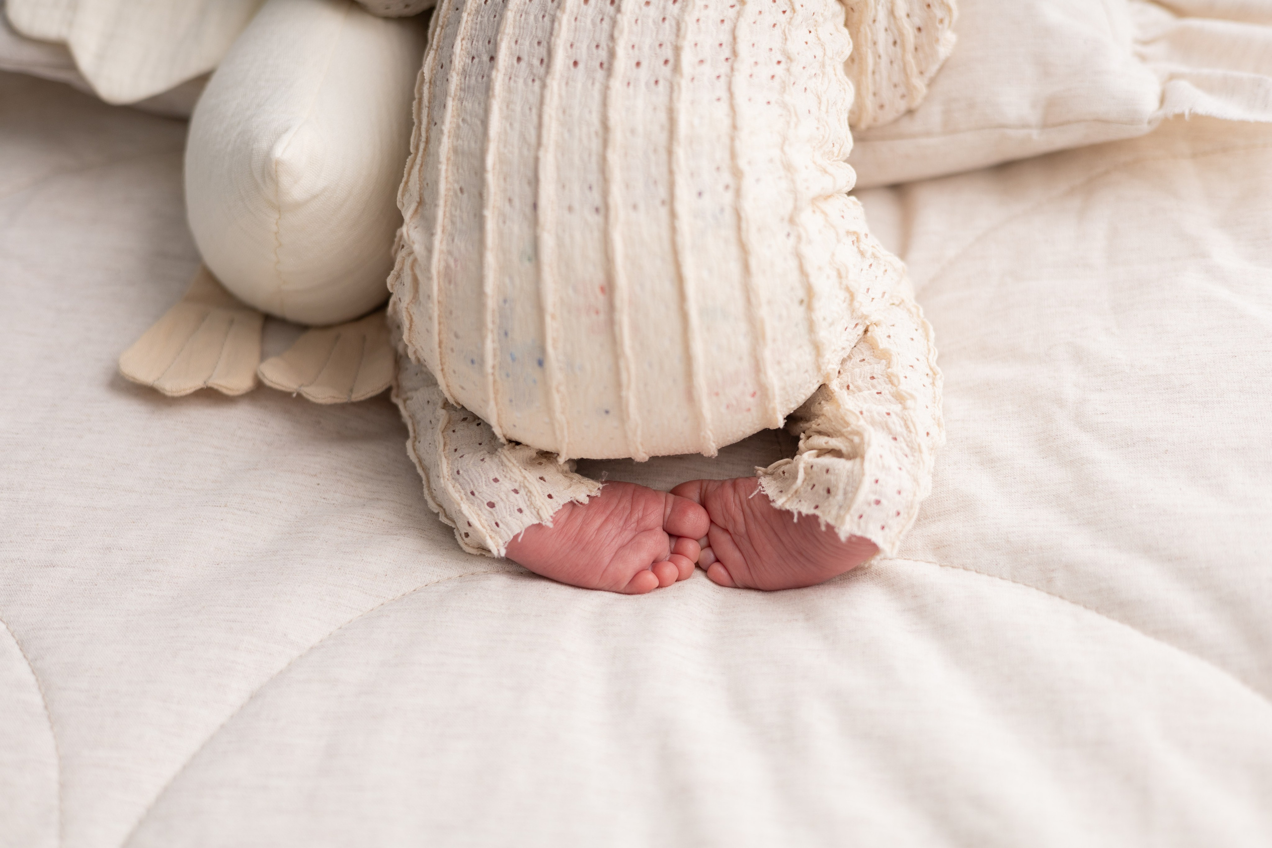 Новорожденные. Фотограф новорожденных Новосибирск