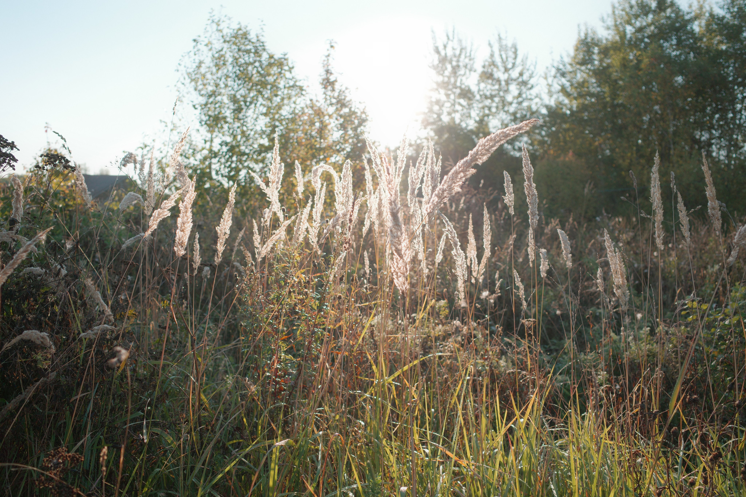 Галерея Ricoh GR3 HDF. Константин Устинов — фотограф