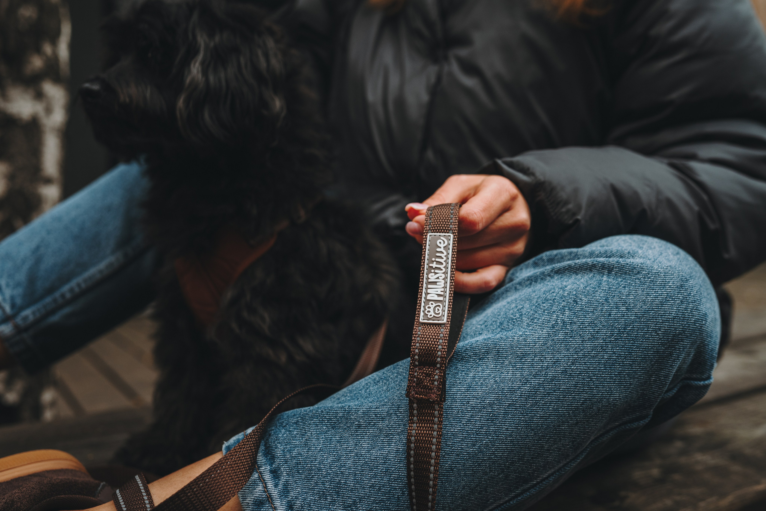 Pawsitive. Семейный фотограф анималист Ананьева Мария — Москва