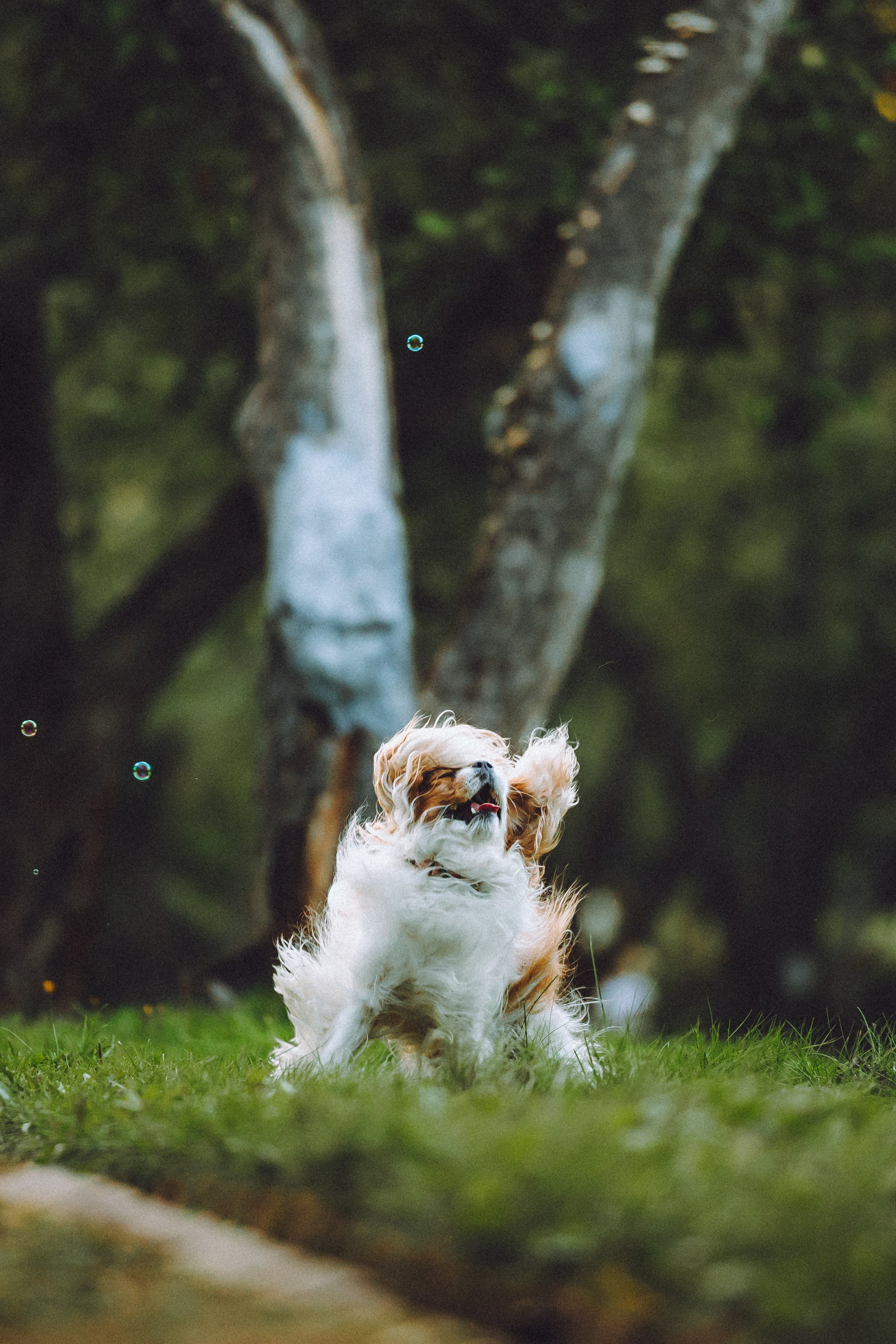 Наташа и Вики