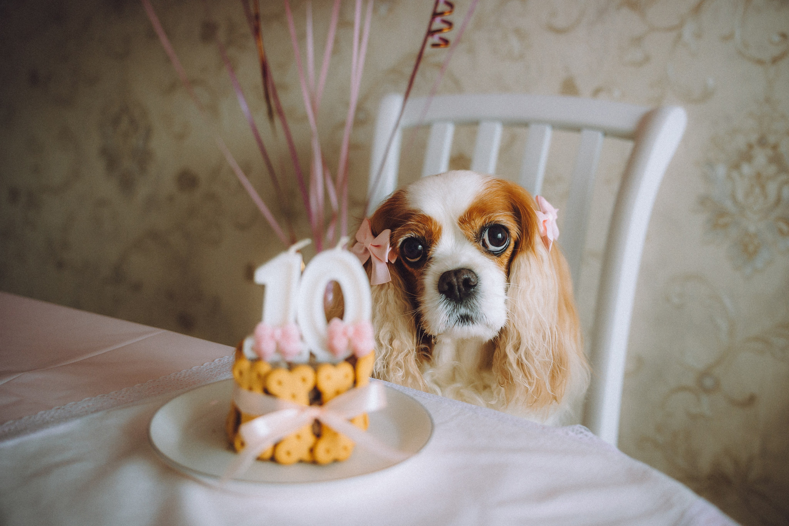 Наташа и Вики