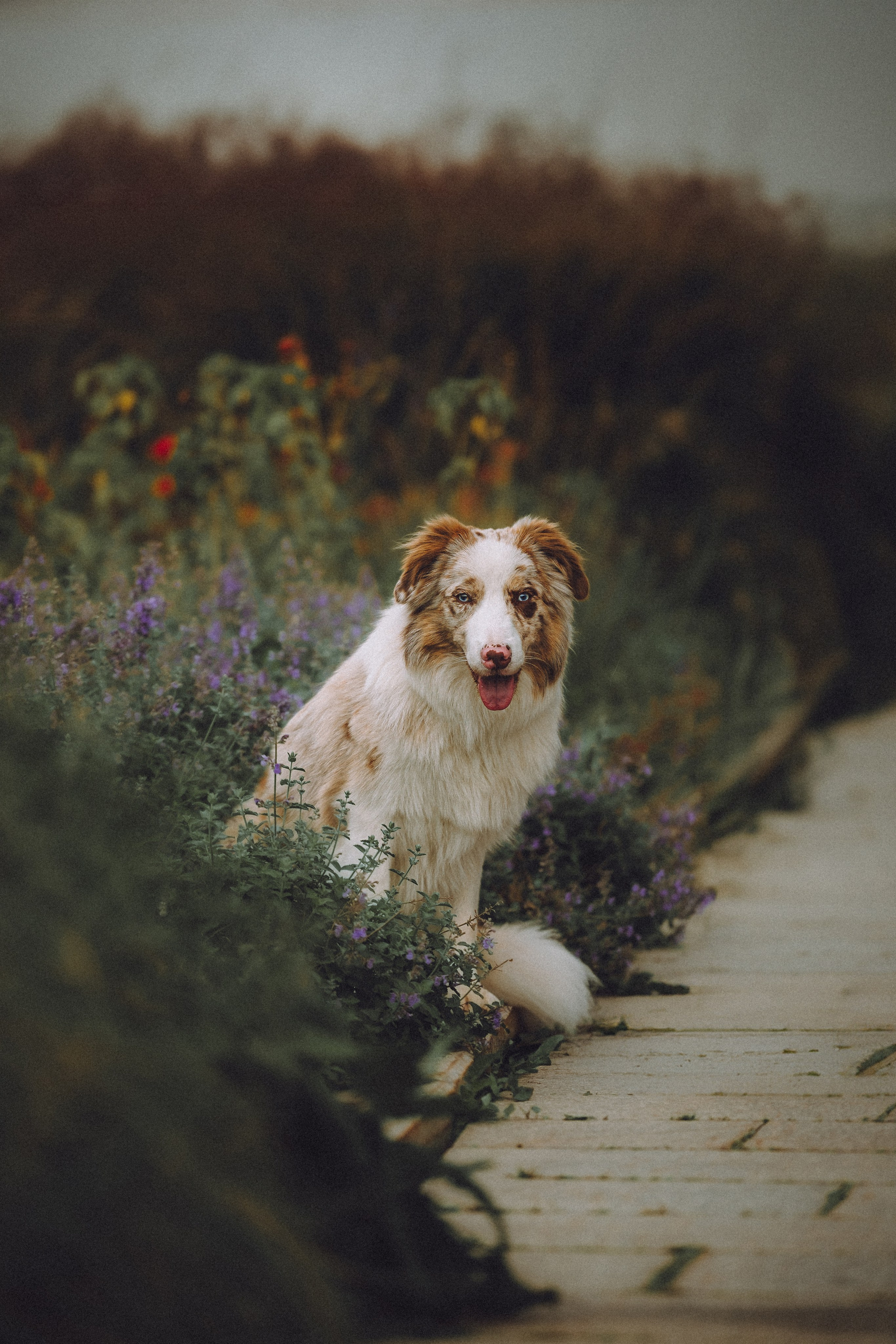 Один и его семья
