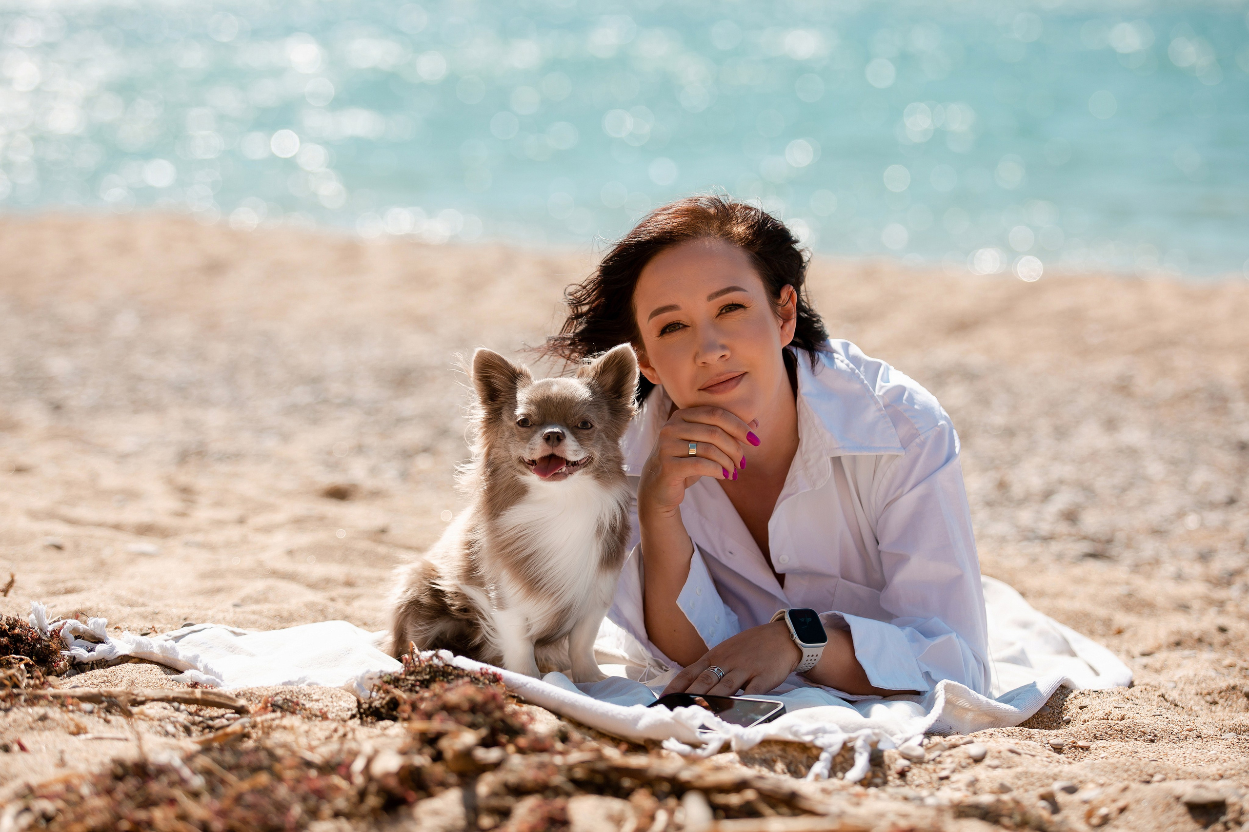 Веймаранер и чихуахуа в Крыму. Фотограф-анималист в Краснодаре Маша Мельникова