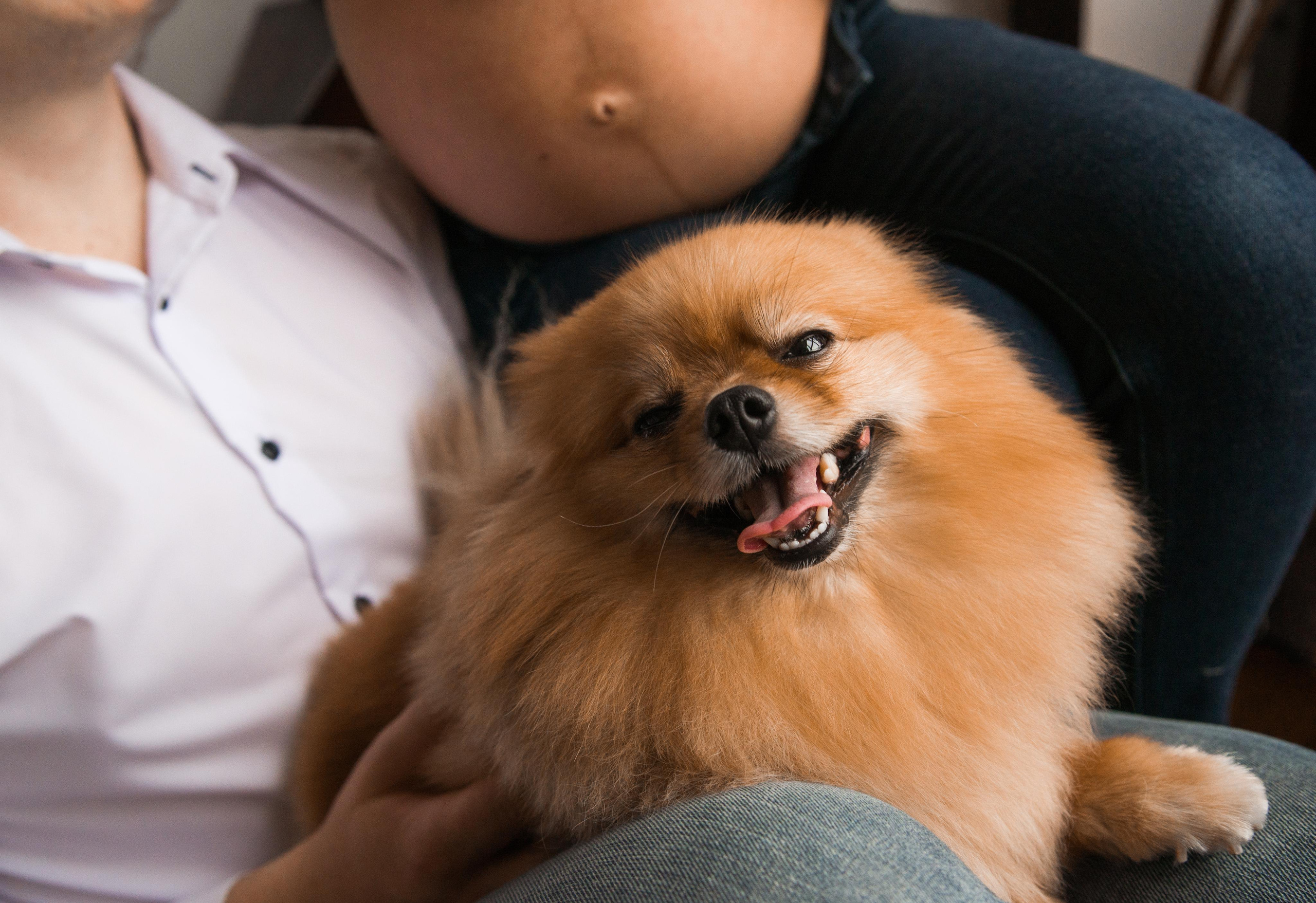 В ожидании (фотосессия беременности) Минск Слуцк. Свадебный и семейный фотограф Ольга Астрейко