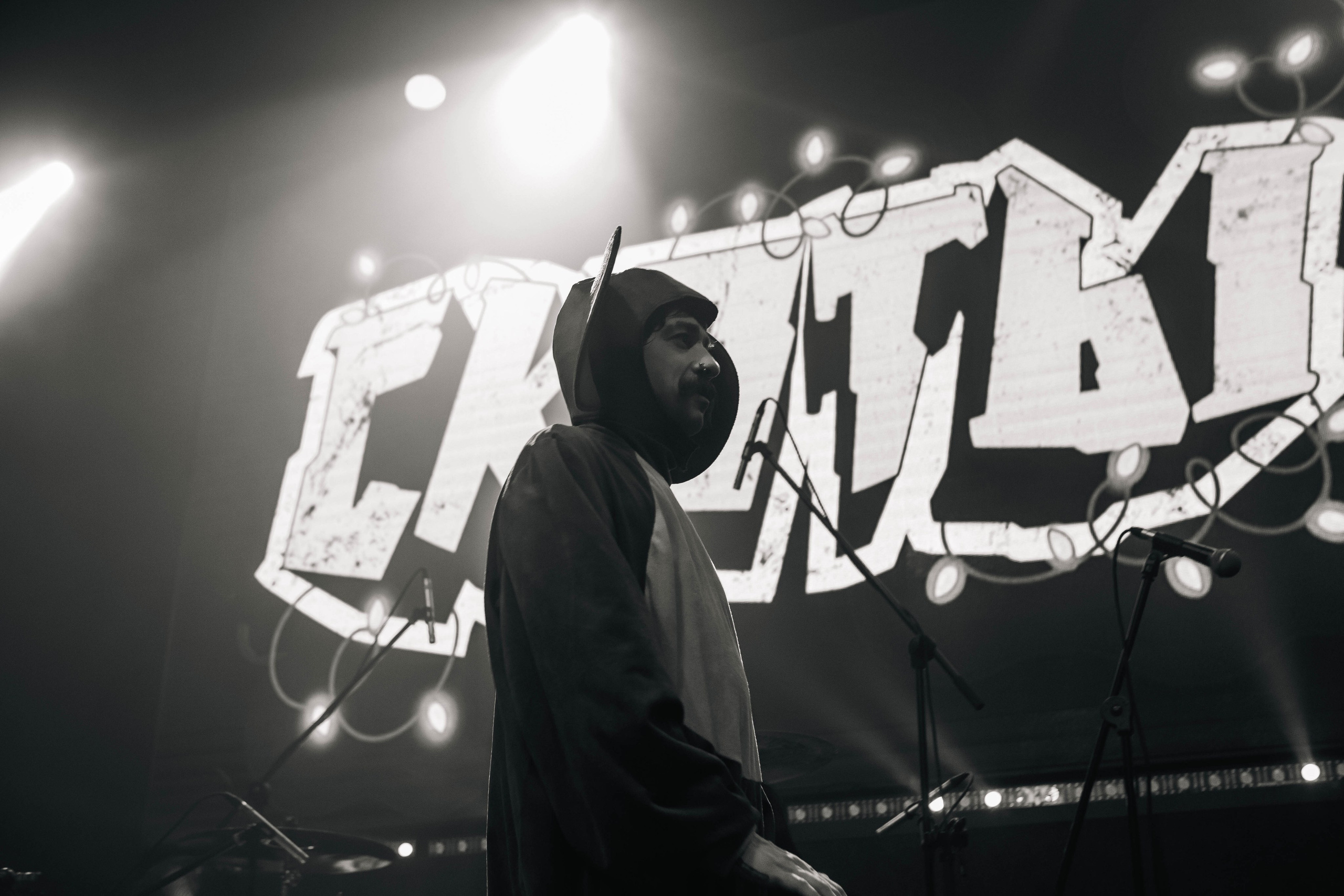 СКОТЫ 20.12.2025. Репортажный и портретный фотограф Михаил Мартиросян