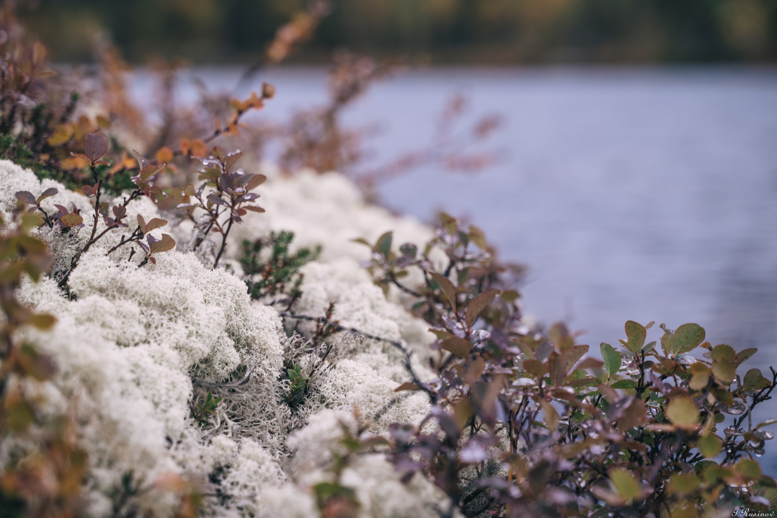 ХИБИНЫ 2021 г. Event фотограф Степанова Александра