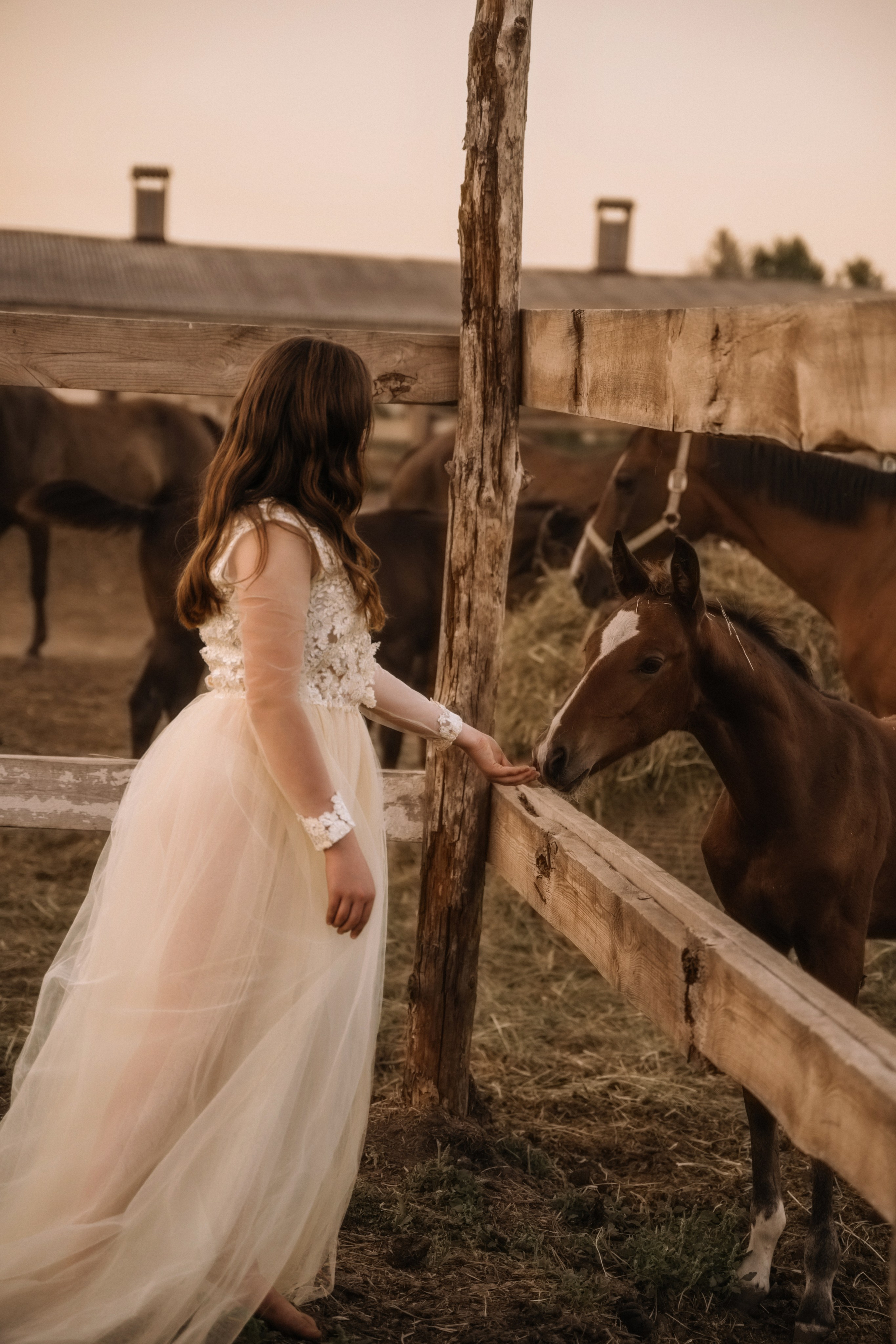 Евгения. Фотосессия с лошадьми. Семейный фотограф в Белгороде Амелина Алина