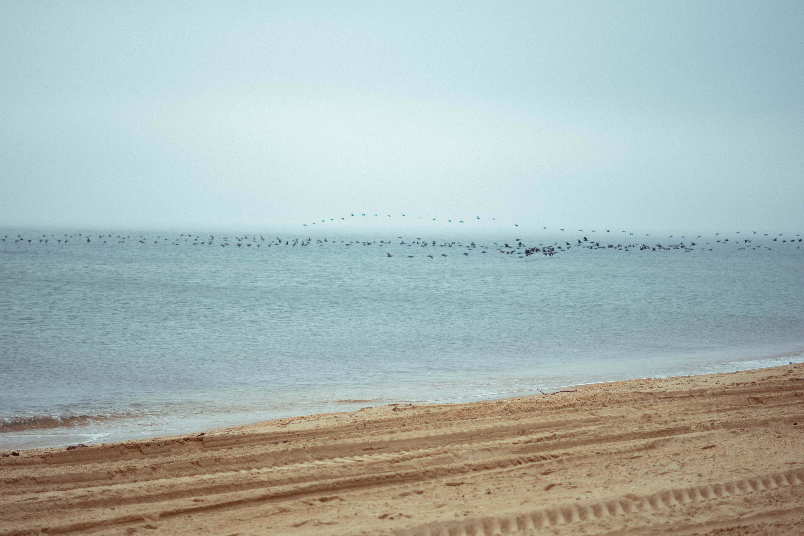 Разлив мазута в Керченском проливе. Фотограф Тбилиси / Photographer Tbilisi