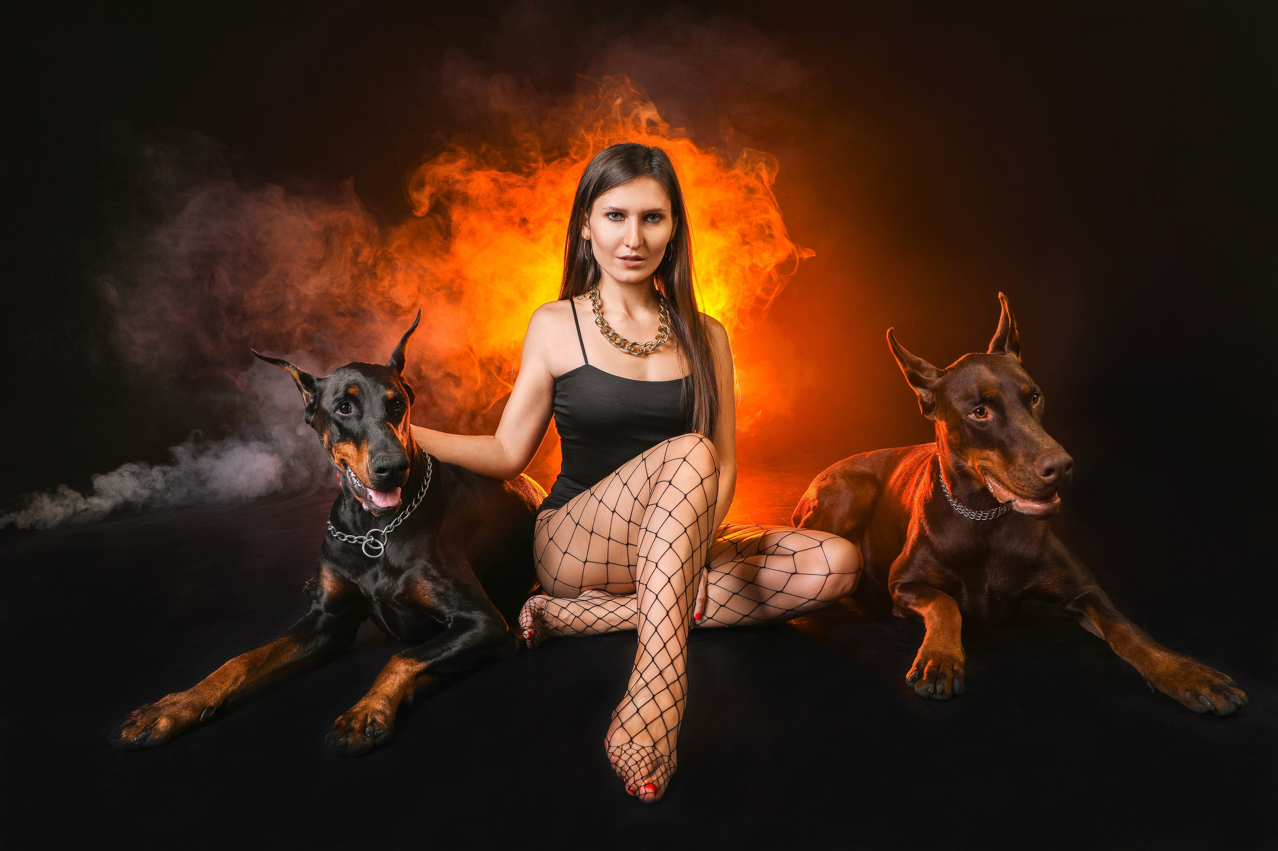 ПРОЕКТ «ДОБЕРМАНЫ». Photographer Viktoriya Markushina «My world throug»