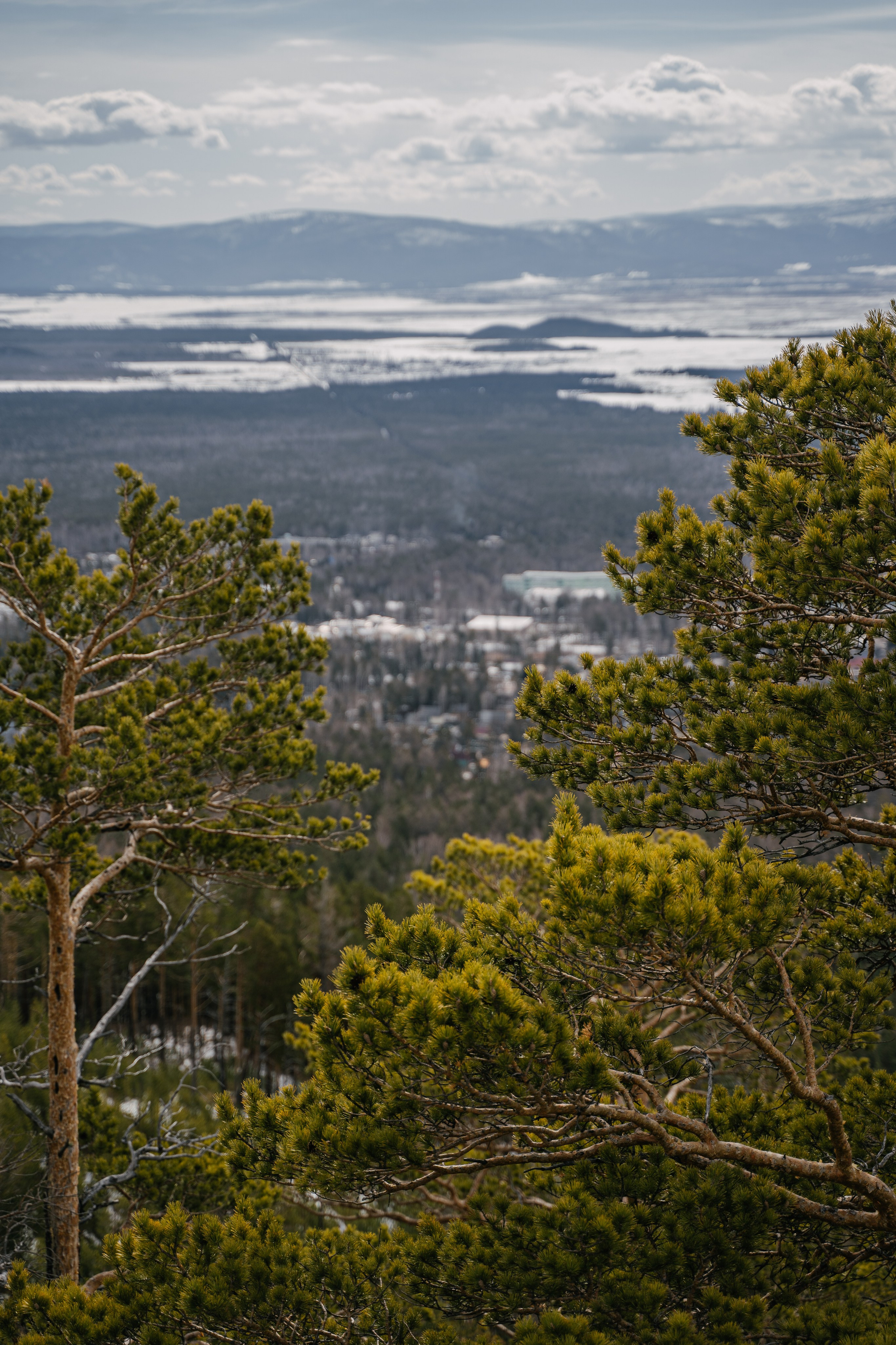 Бурятия, Аршан 2024. Фотограф Ольга Пучкова