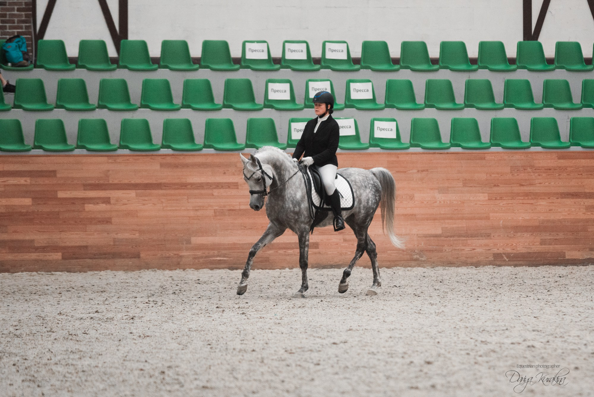 8-я международная выставка Конная Россия. Конный фотограф Куракина Дарья • Фотосессии с лошадьми