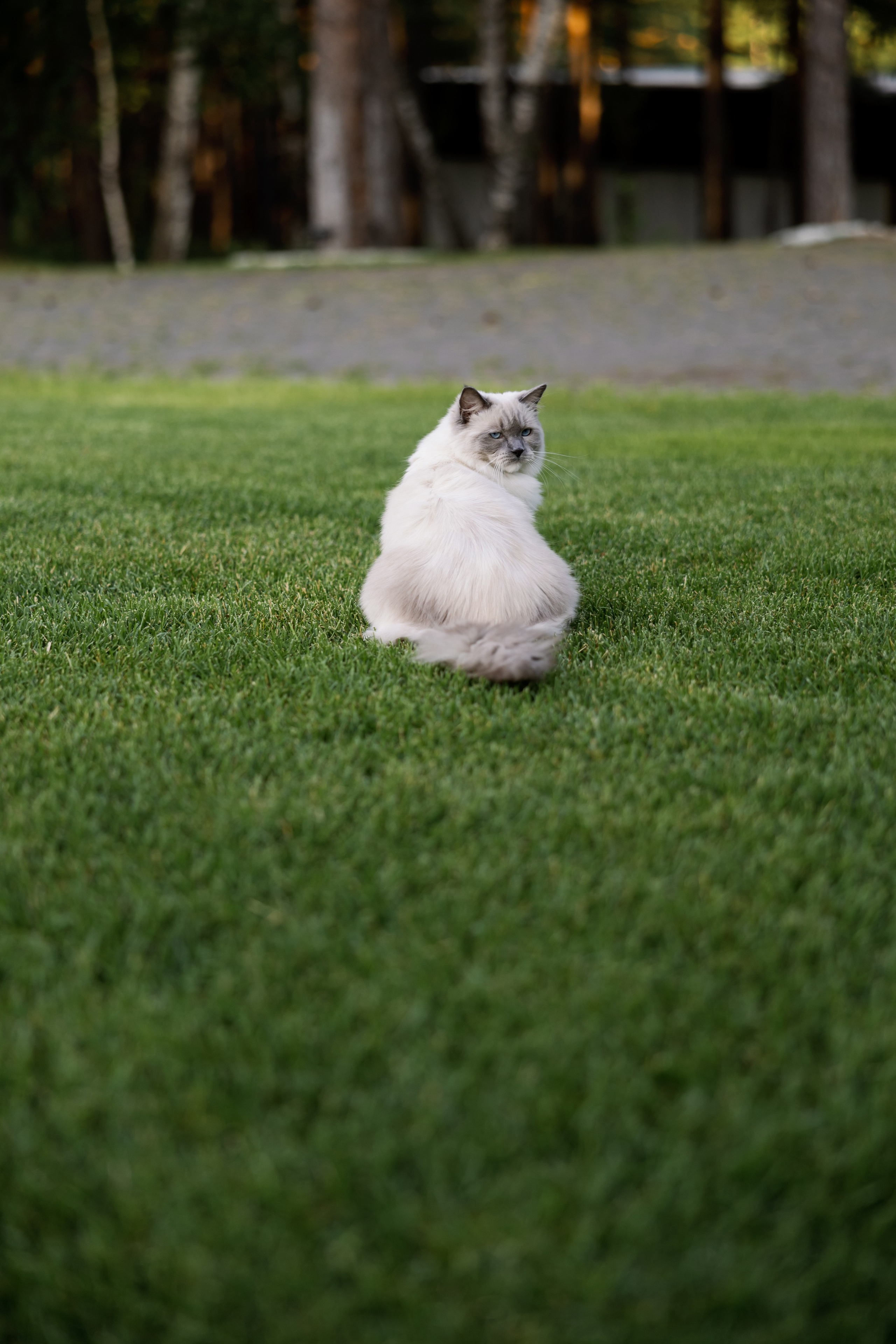 ДЕНЬ РОЖДЕНИЯ КСЕНИИ. Свадебный и репортажный фотограф в Москве Владимир Сергеев | Naysaikolo