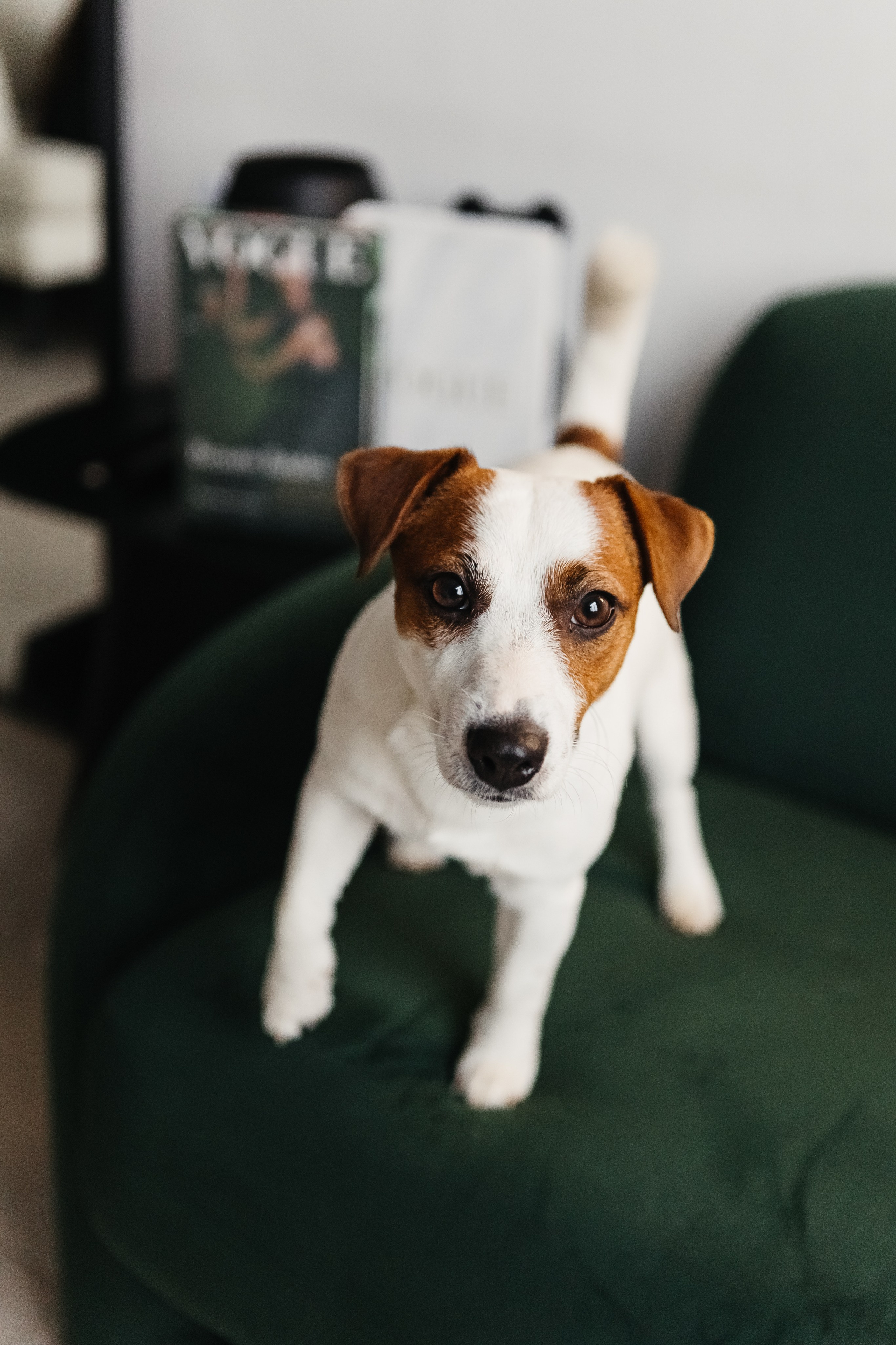 2024.03.24 Танюша, Руслан и Боба. Ирина Бешляга. Фотограф в Москве и по всей России