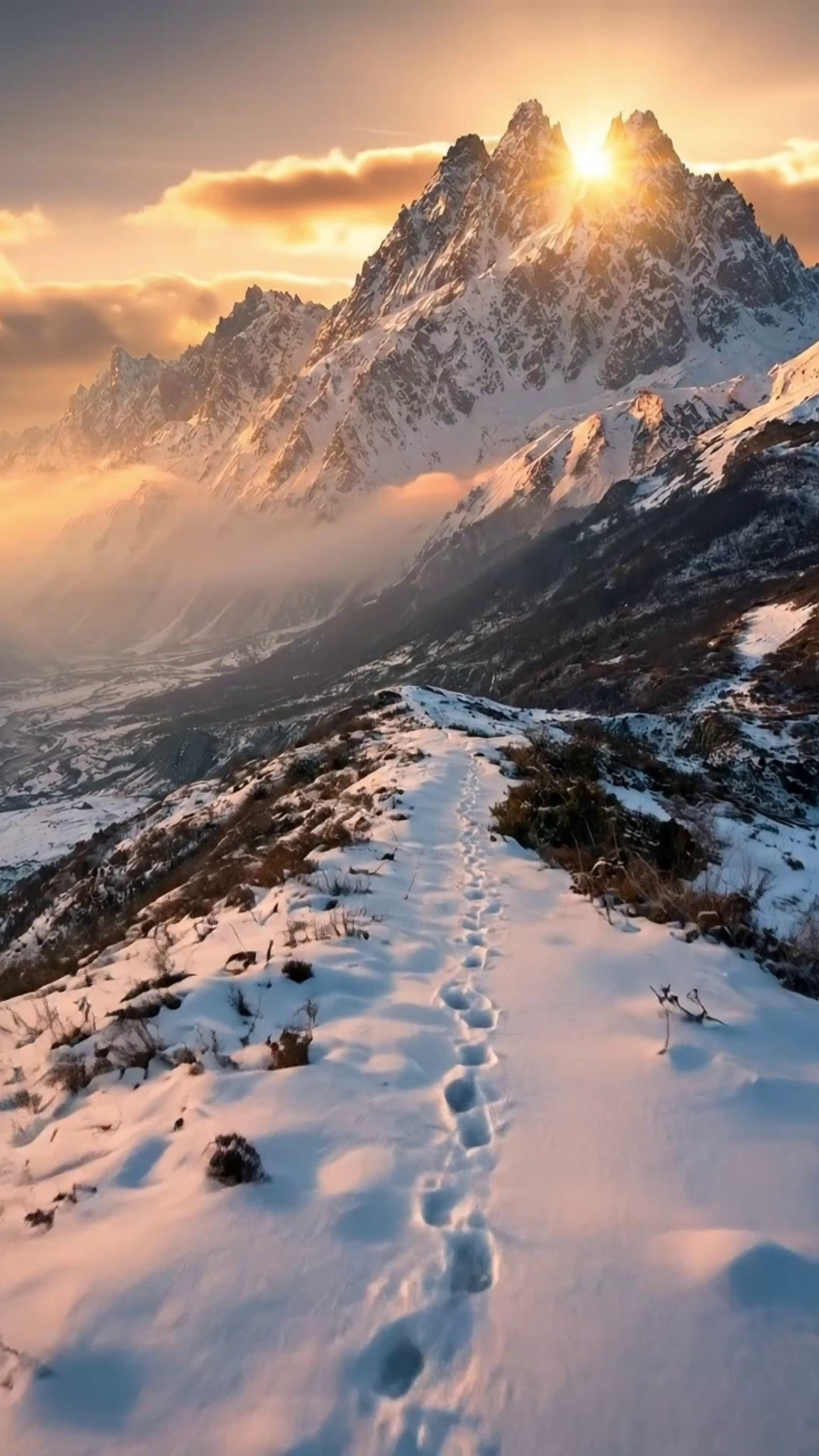 AI-фильм о снежном барсе и горах Осетии. Фотограф во Владикавказе Юрий Геворгизов