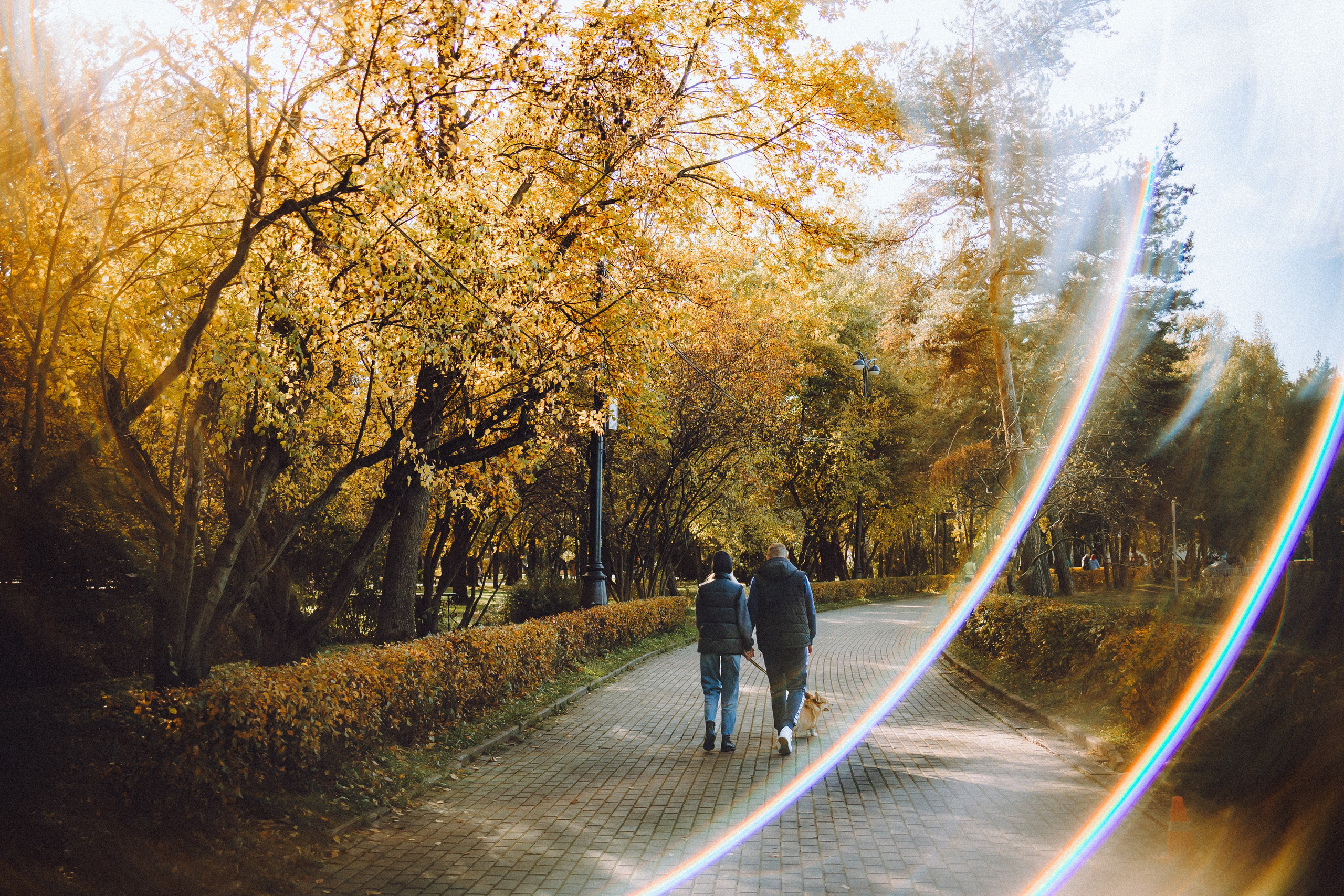 Карина, Даня и Аркаша