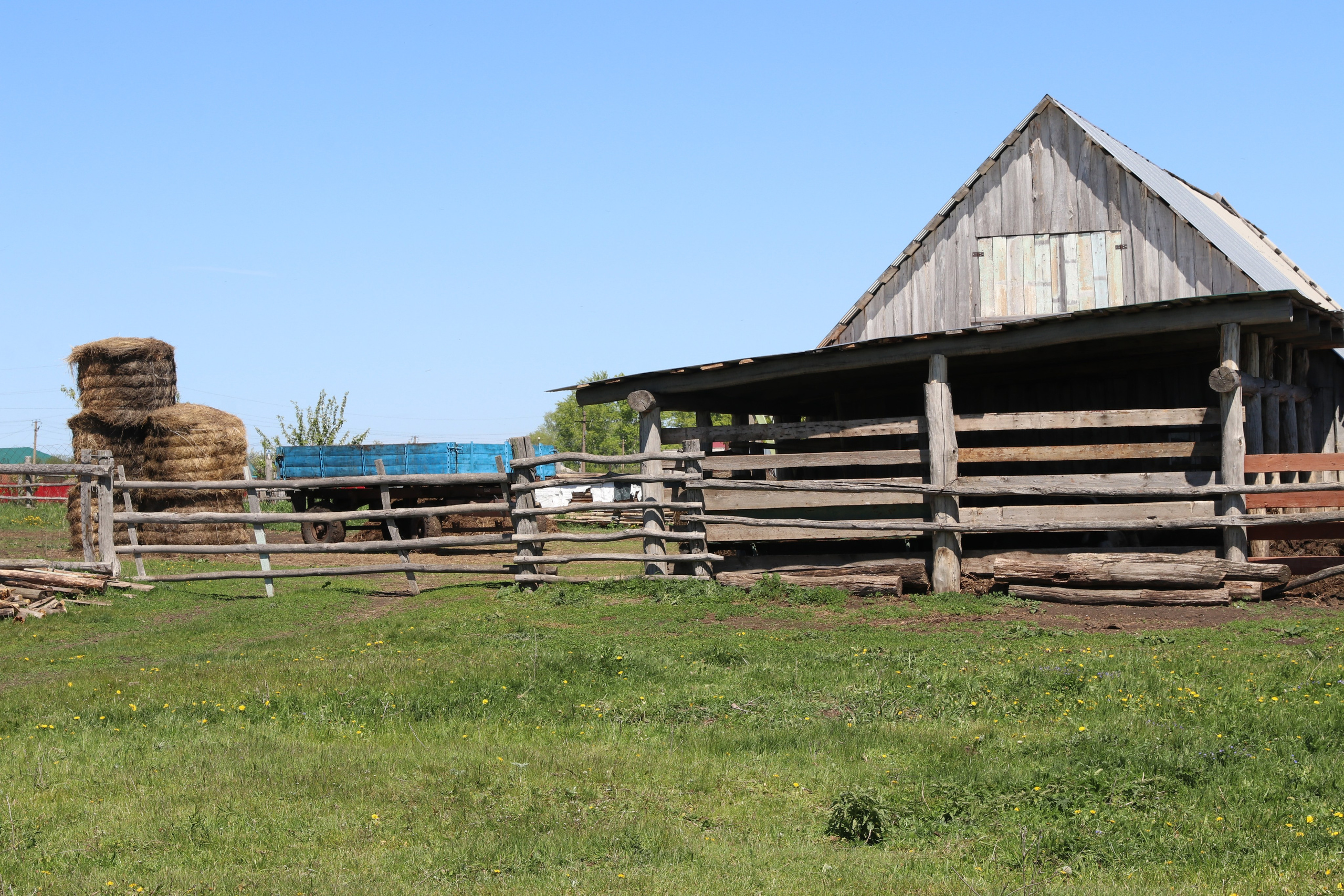 Чудесная поляна, на которой мы устроились на перекус 