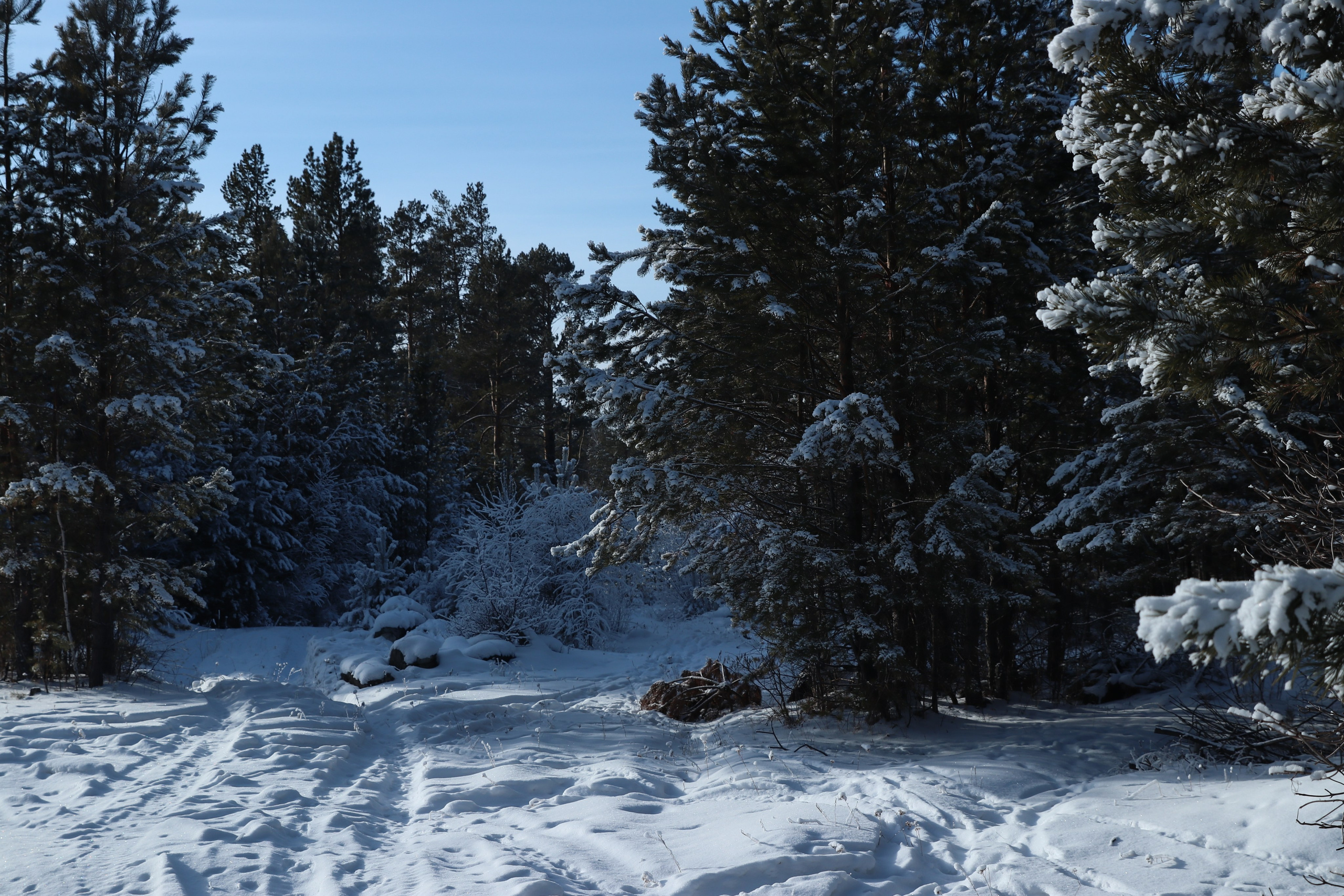 Аршан. Январь 2024. Путешественник-фотограф из Санкт-Петербурга Татьяна Свистулина
