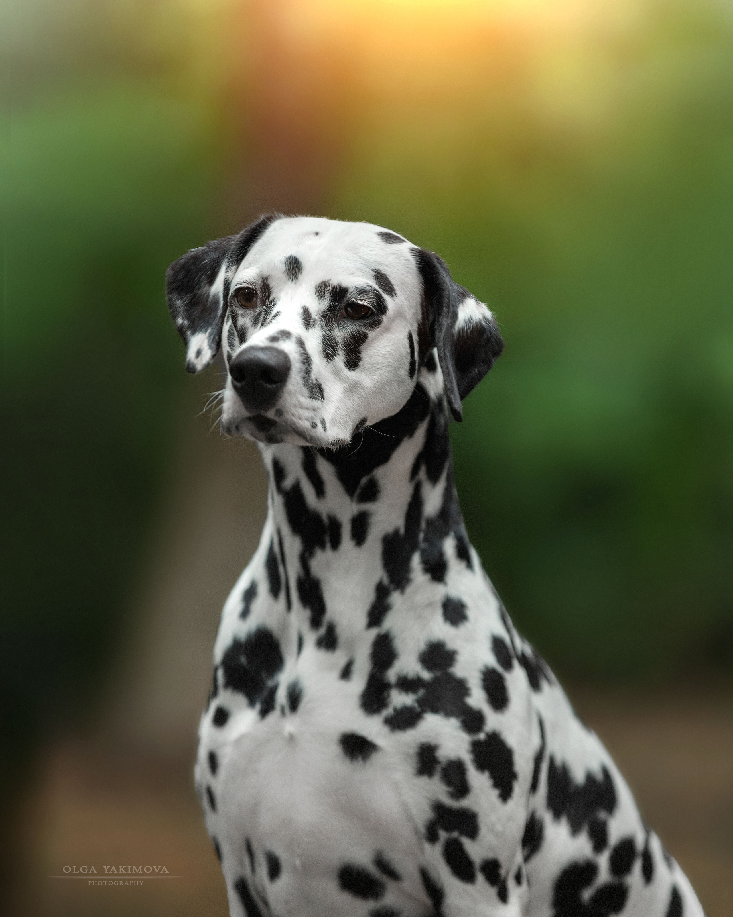 Экстерьер. Фотограф