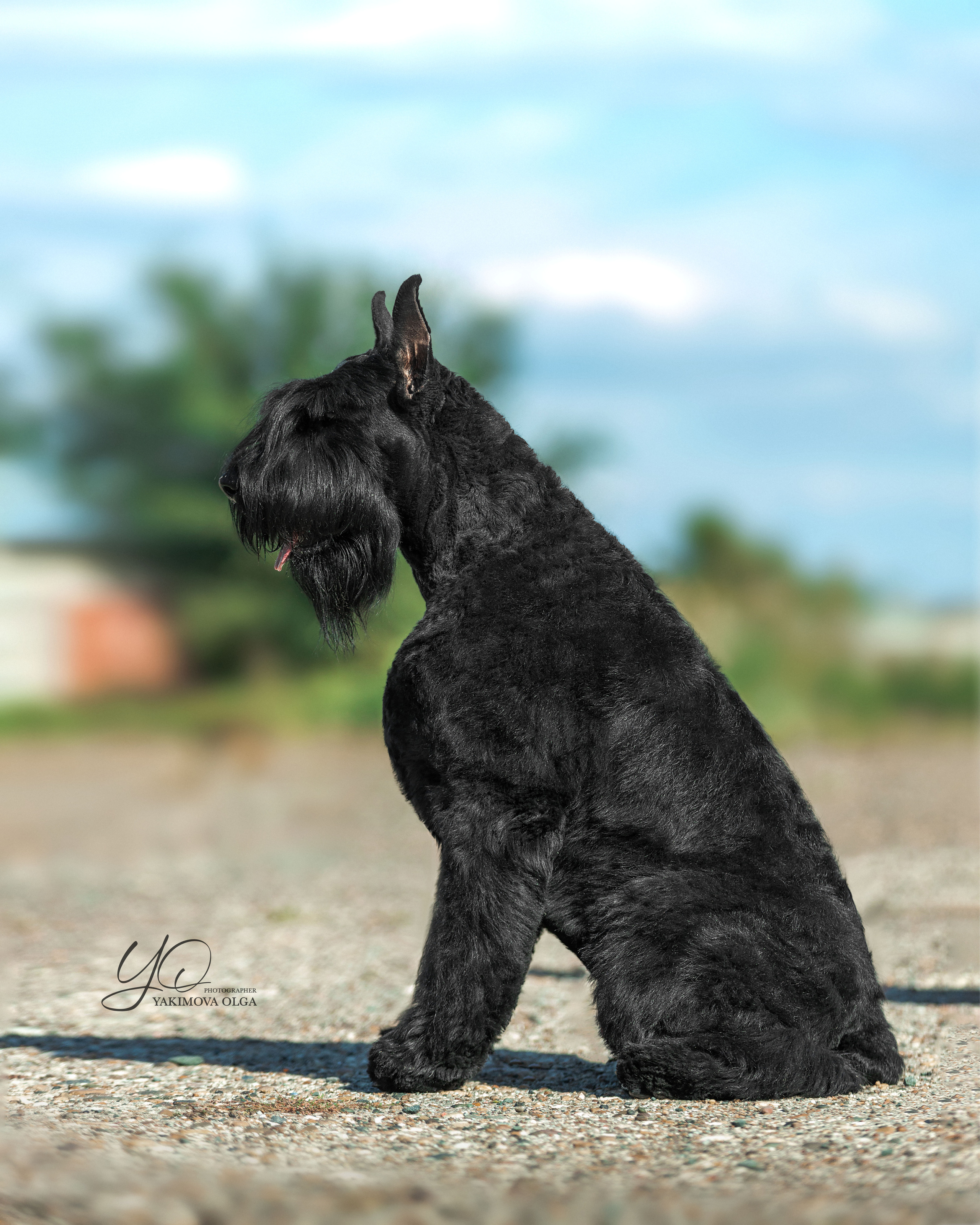 Экстерьер. Фотограф