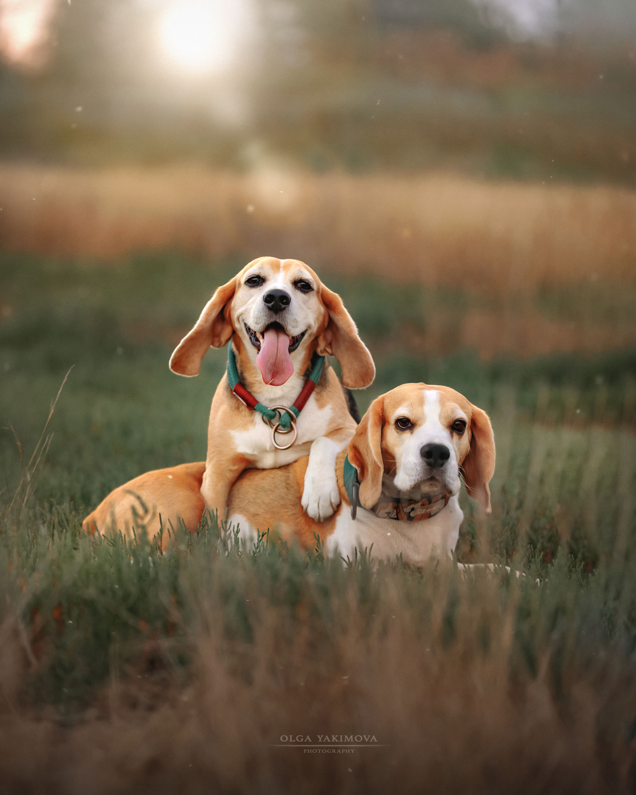 Анна, Варвара и Науми. Фотограф