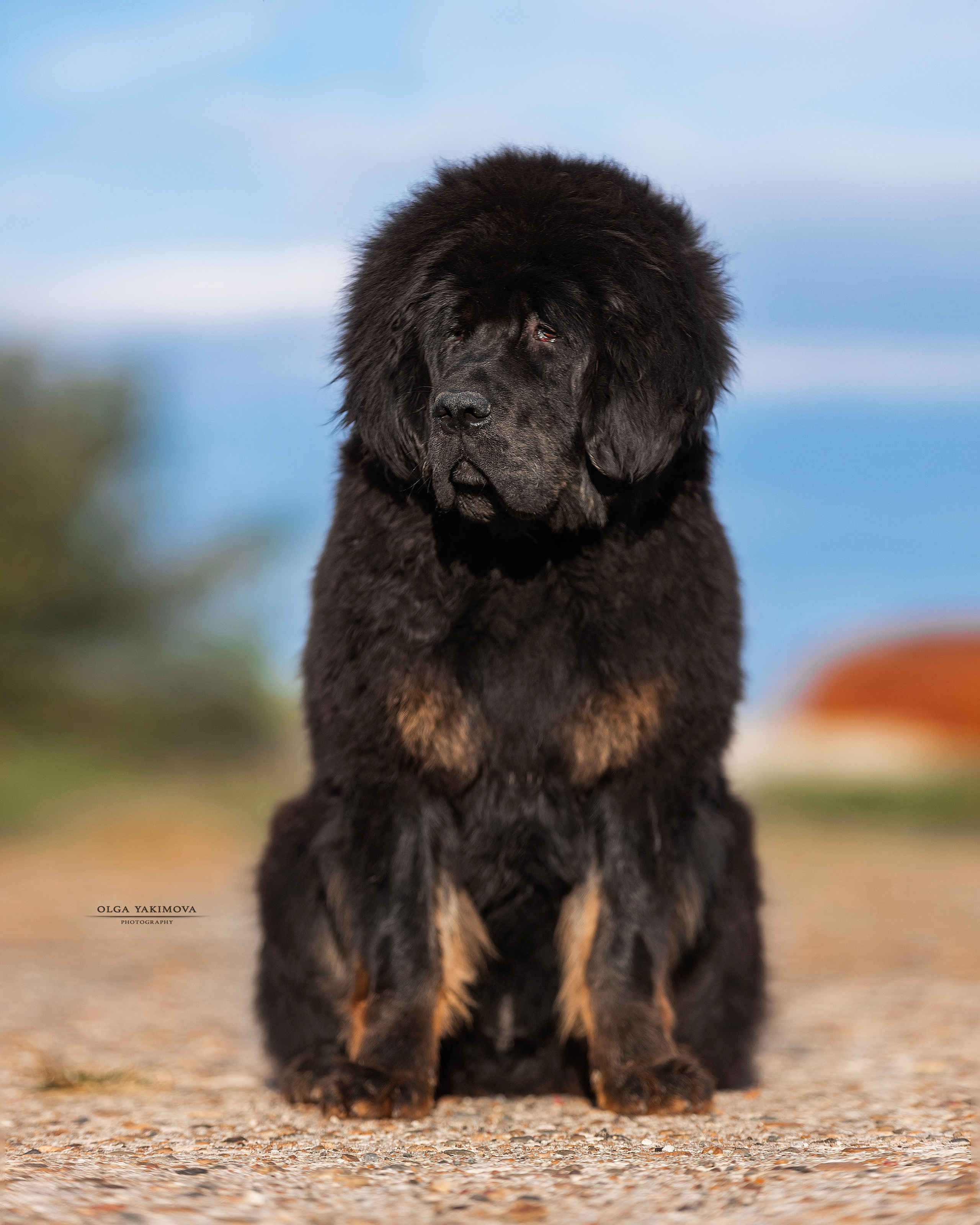 Экстерьер. Фотограф