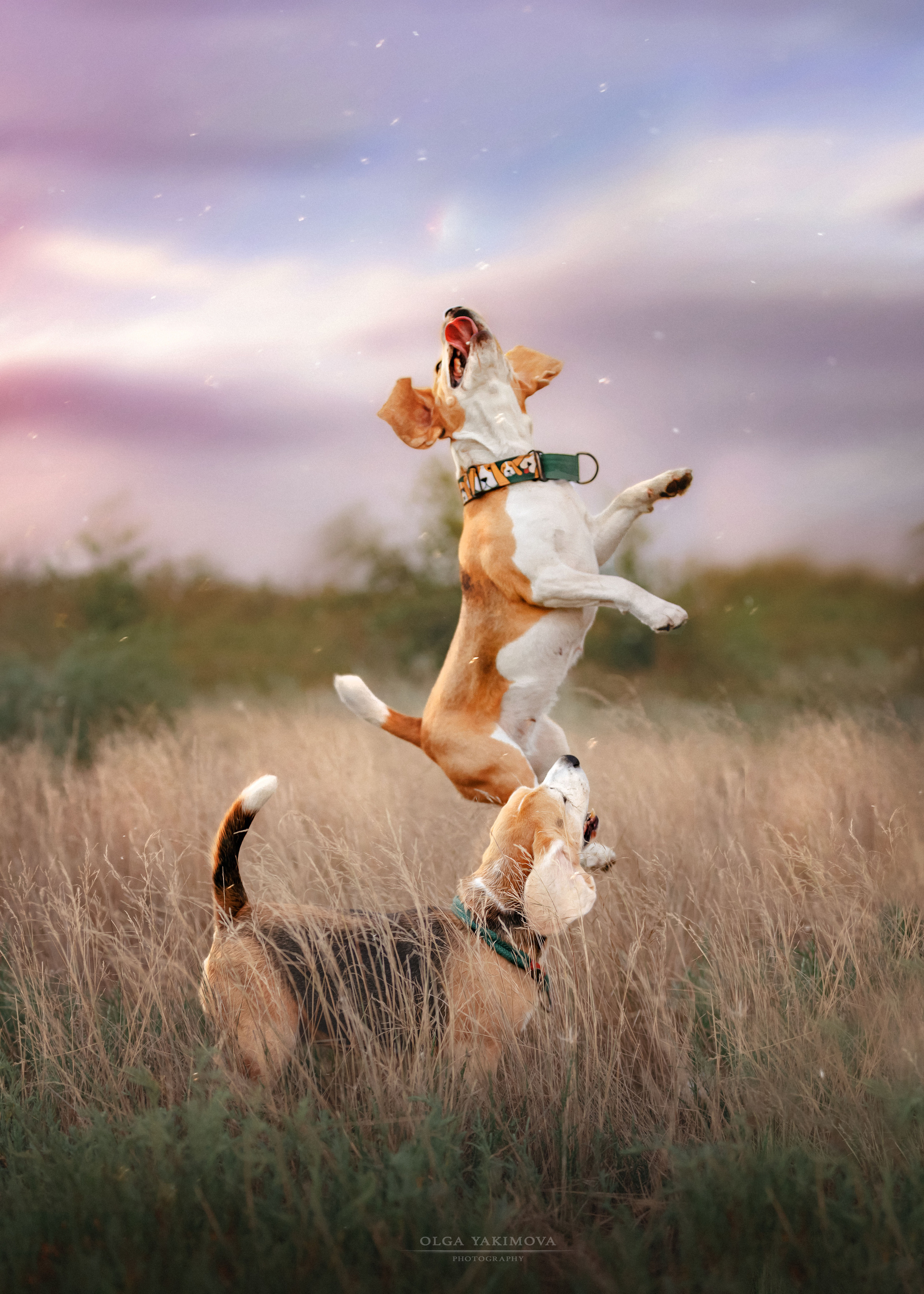 Анна, Варвара и Науми. Фотограф