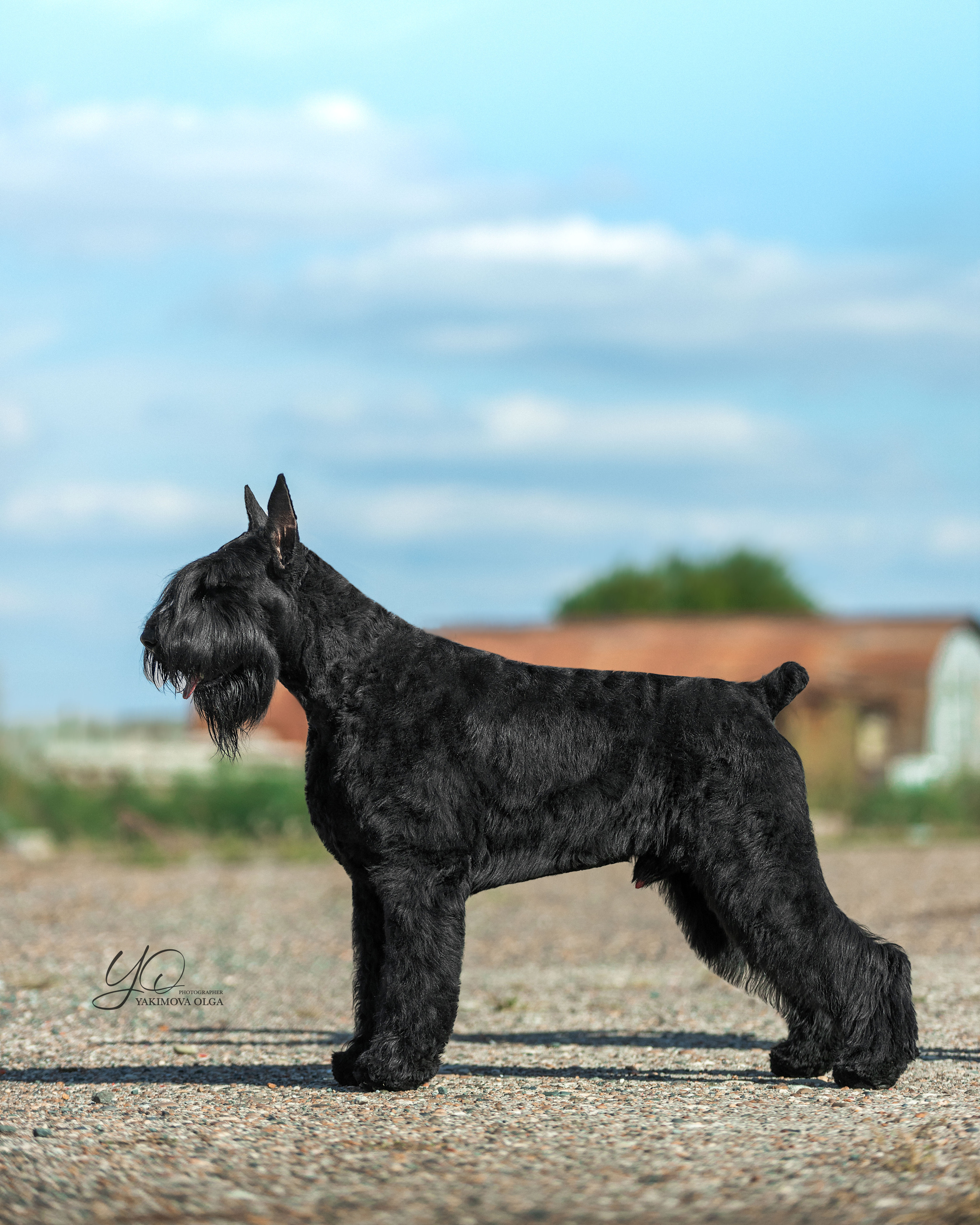 Экстерьер. Фотограф