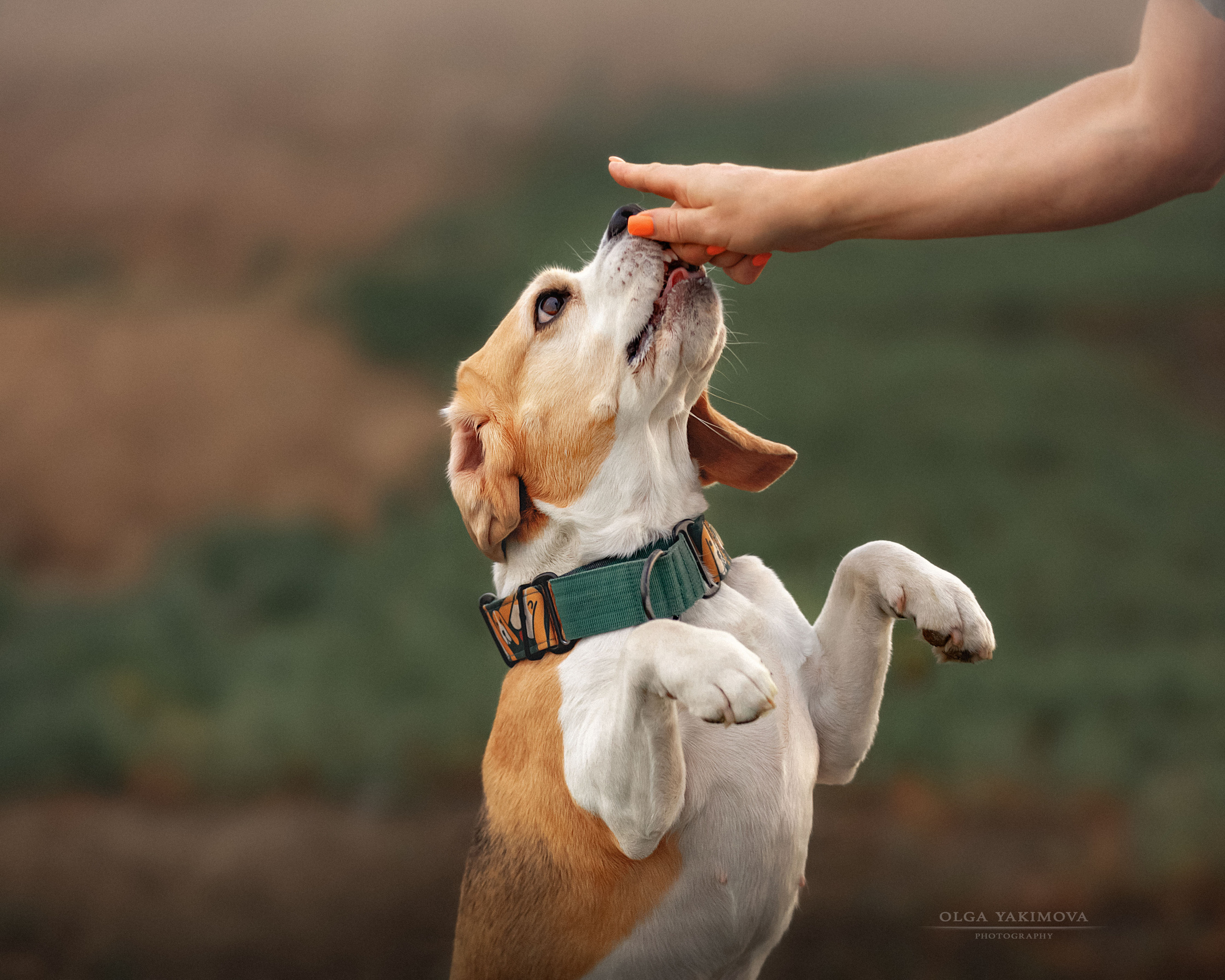 Анна, Варвара и Науми. Фотограф