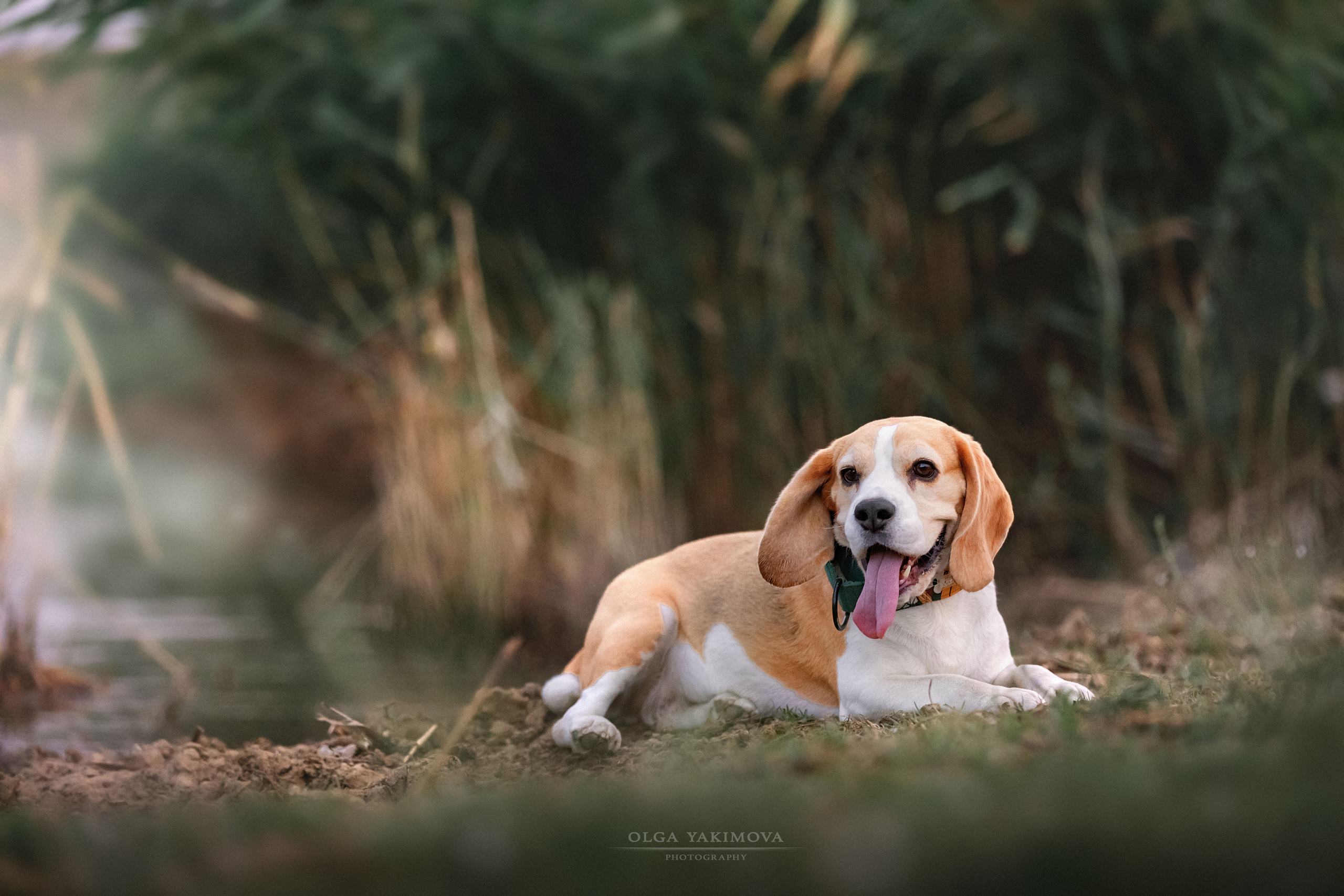Анна, Варвара и Науми. Фотограф