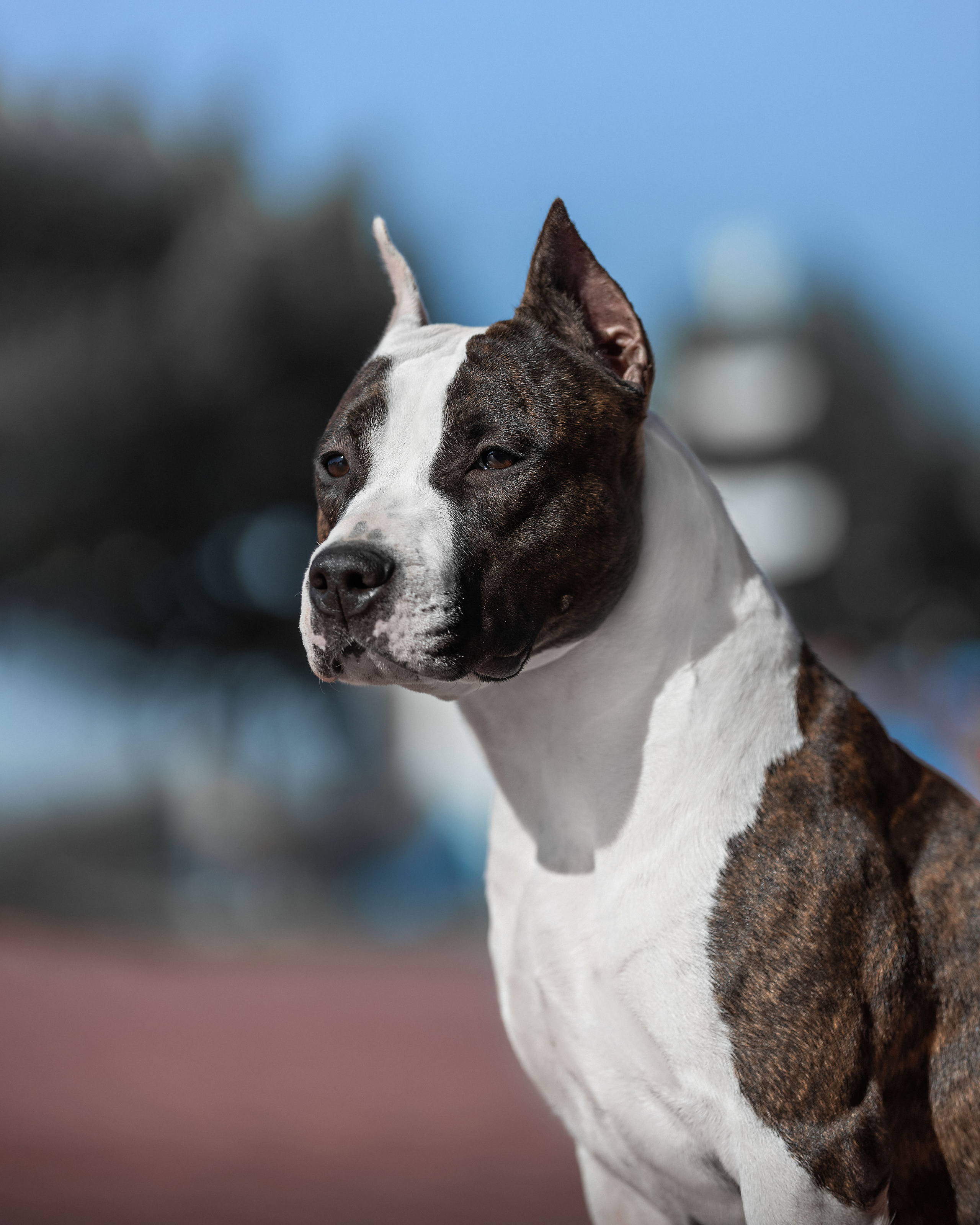 Экстерьер. Фотограф