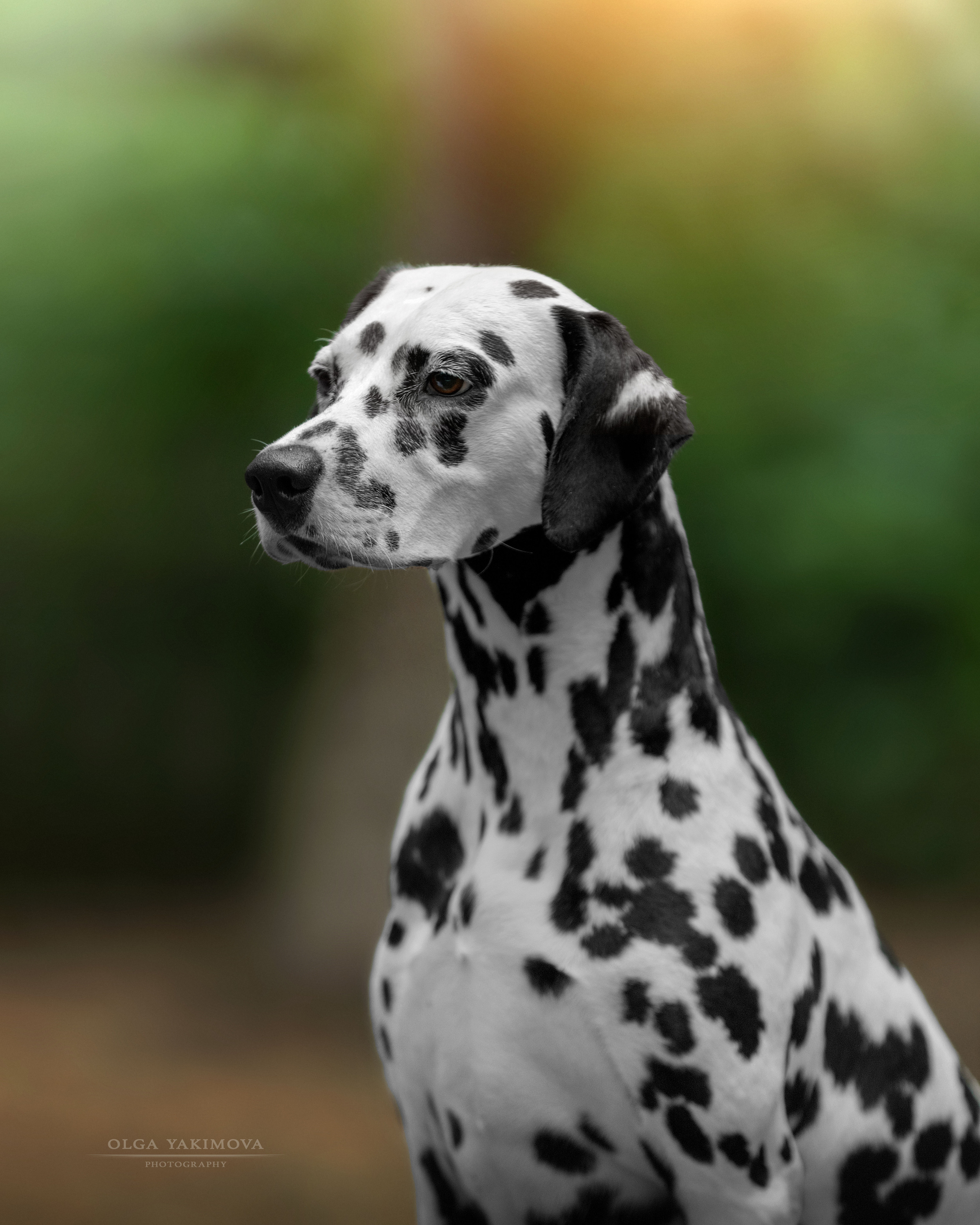 Экстерьер. Фотограф