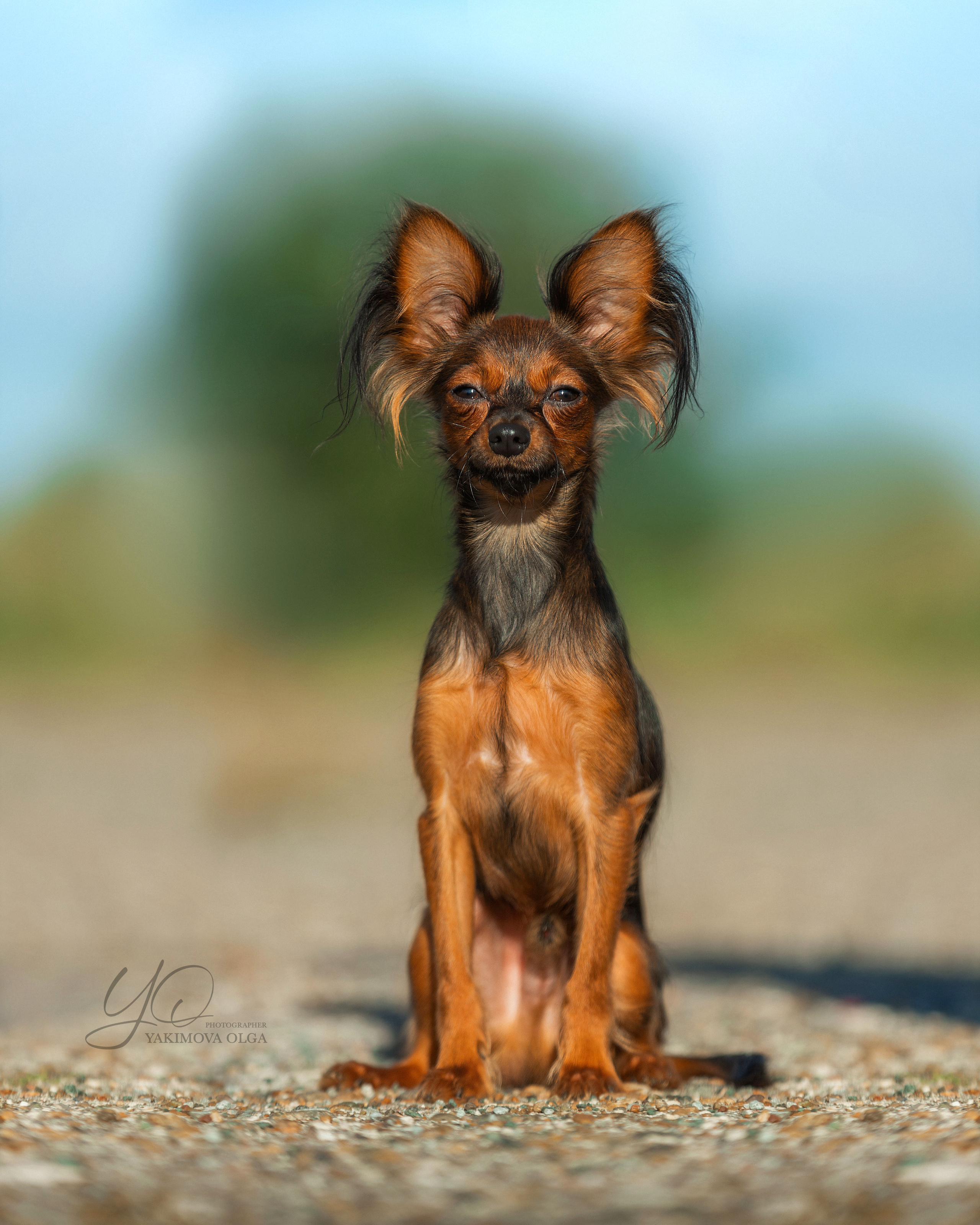 Экстерьер. Фотограф