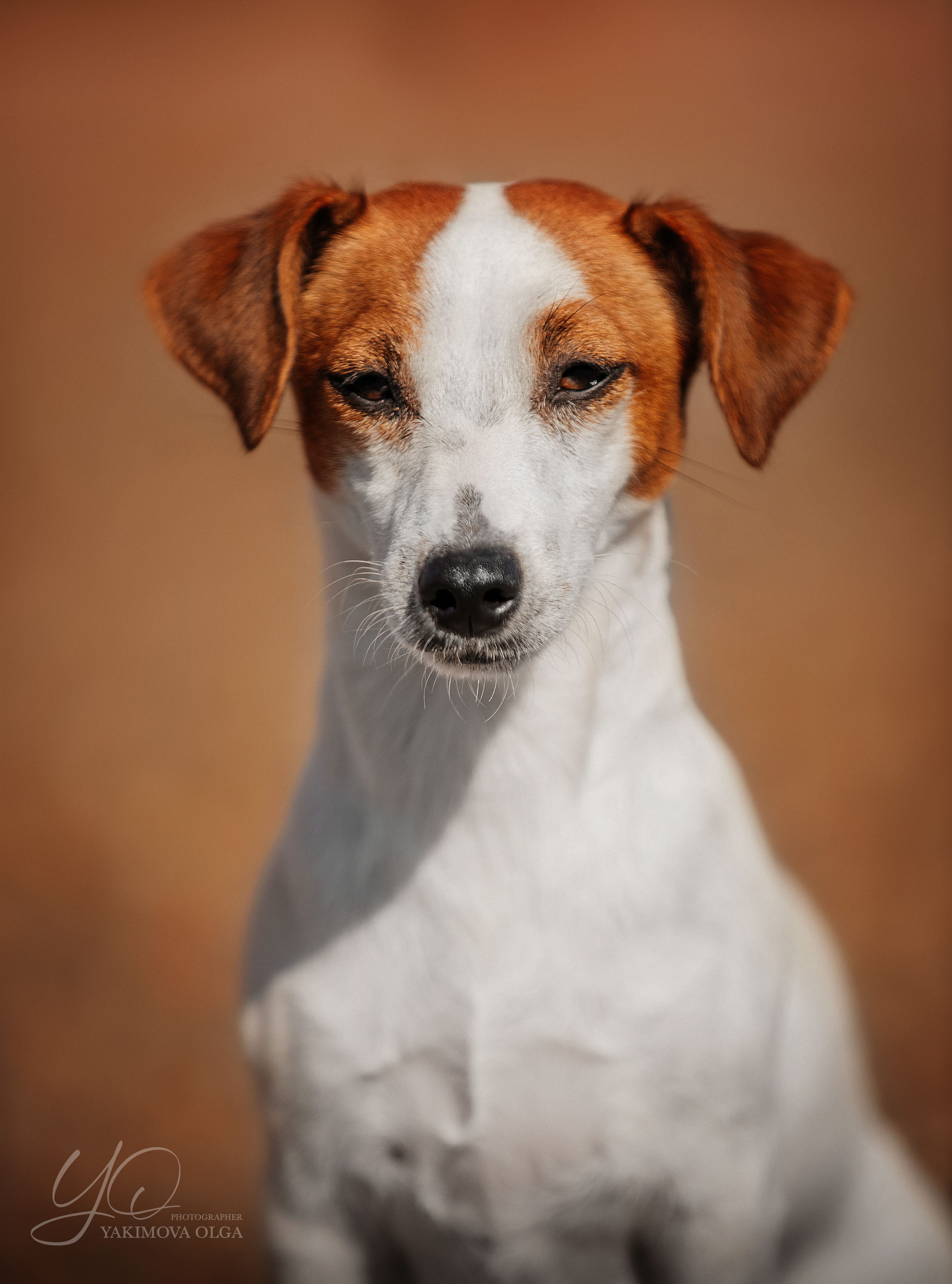 Экстерьер. Фотограф