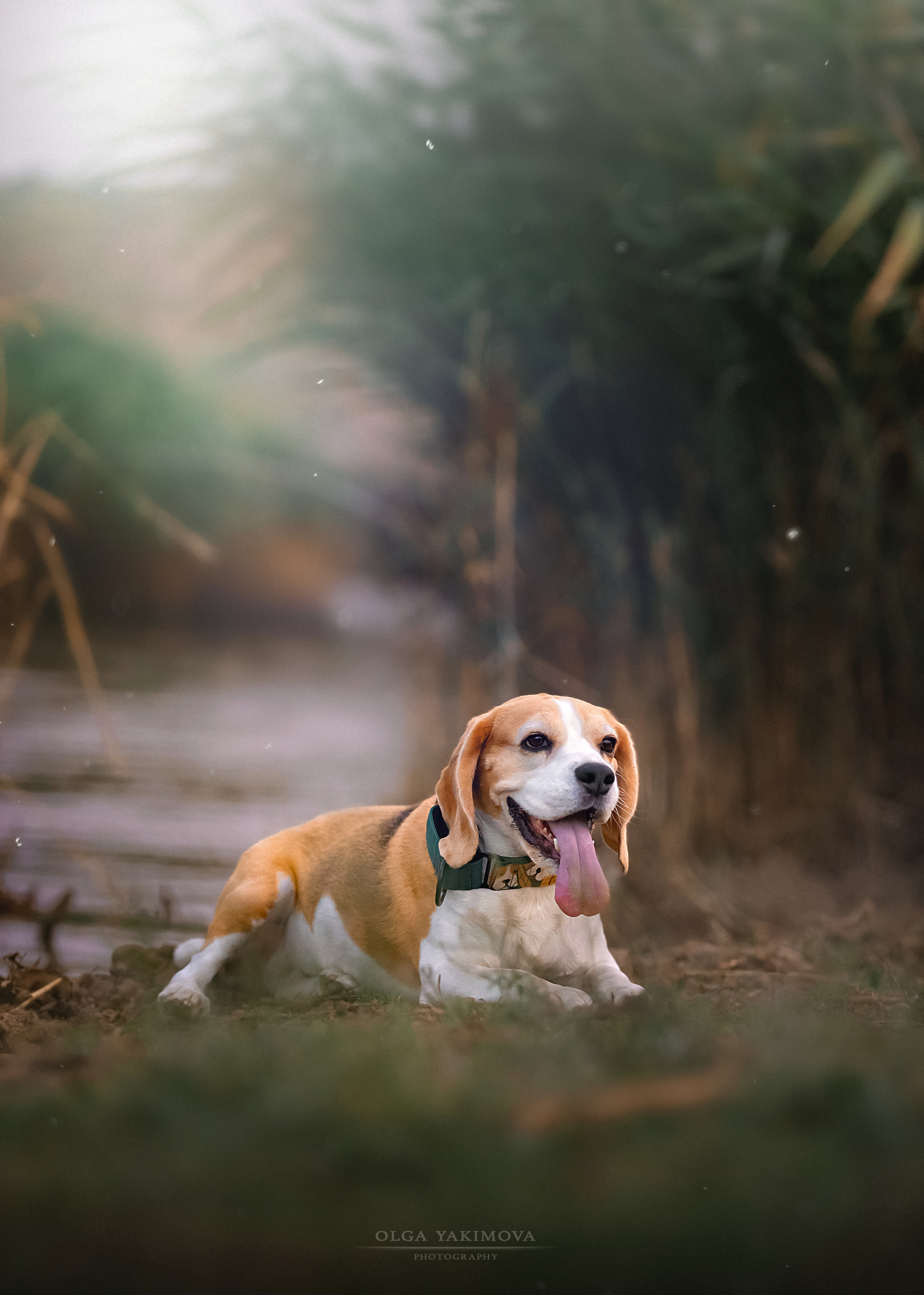 Анна, Варвара и Науми. Фотограф