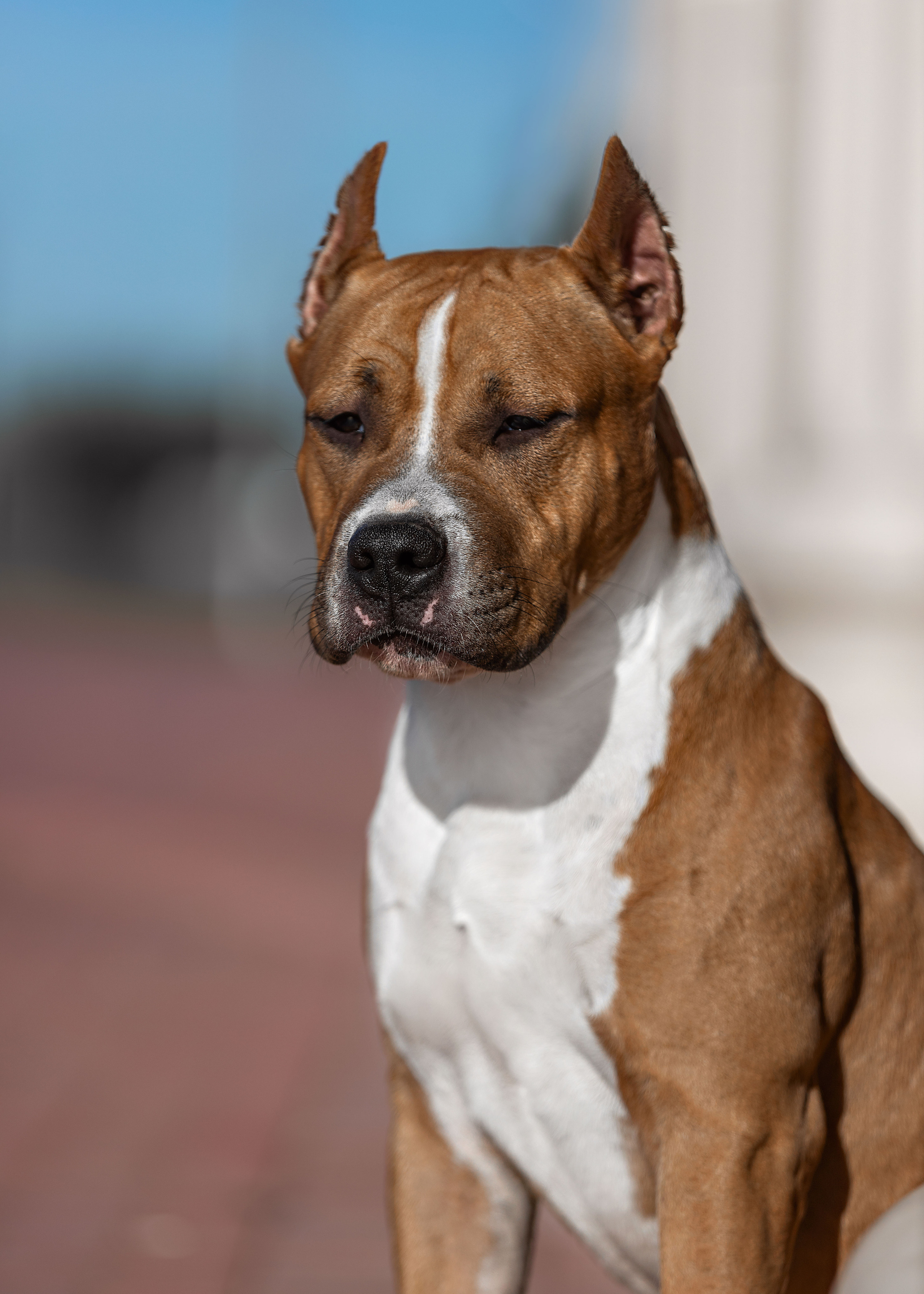 Экстерьер. Фотограф