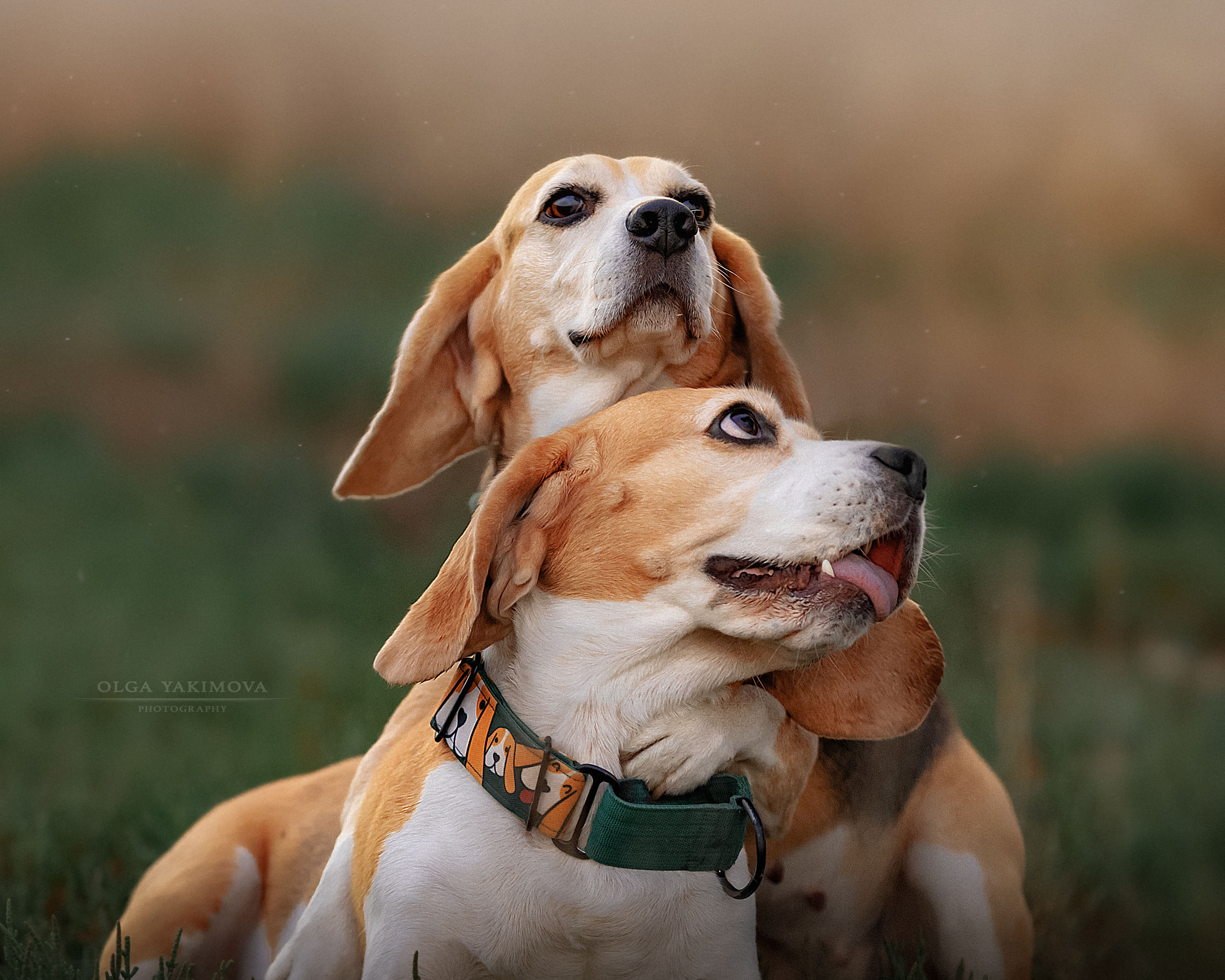 Анна, Варвара и Науми. Фотограф