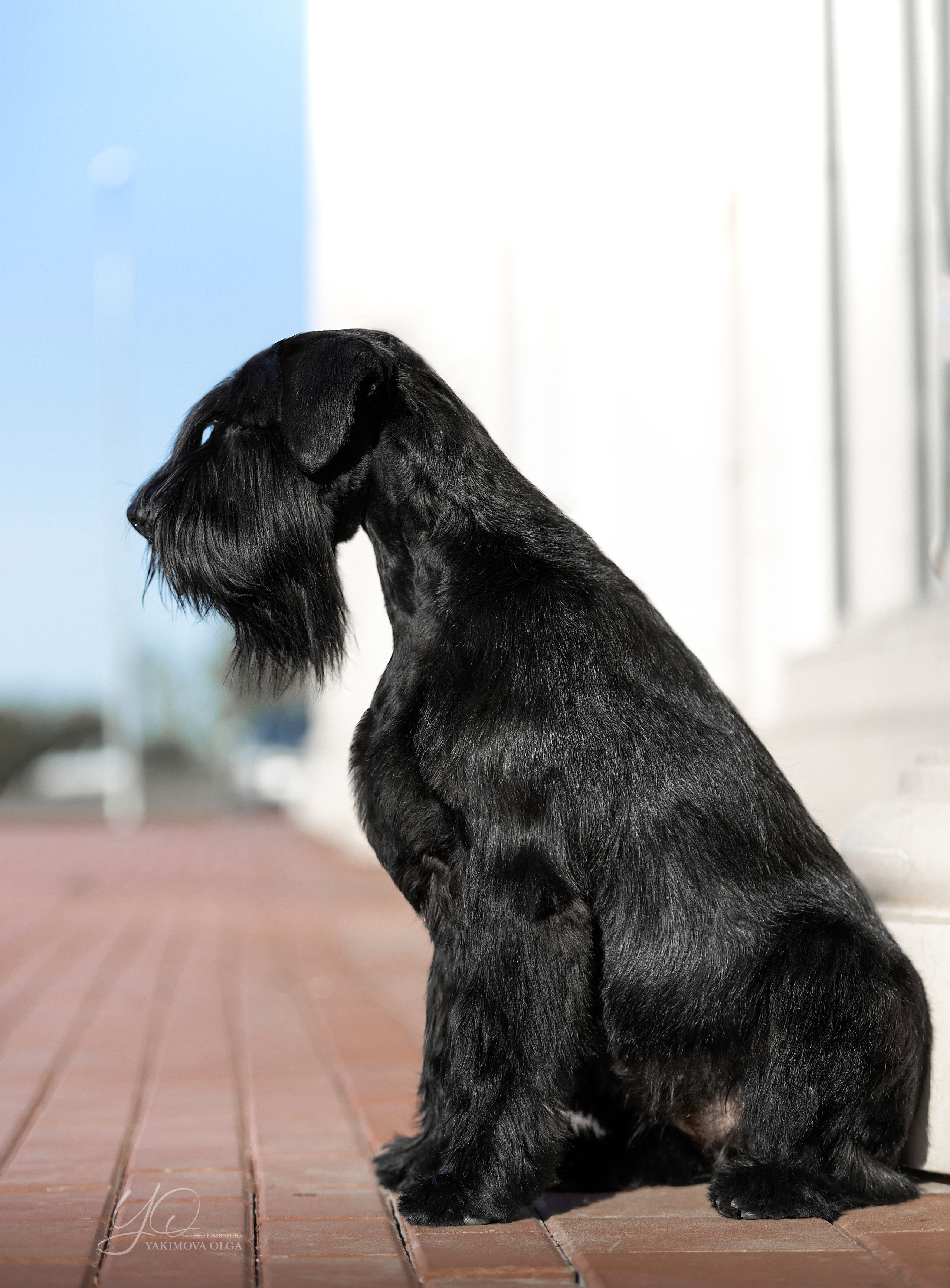 Экстерьер. Фотограф