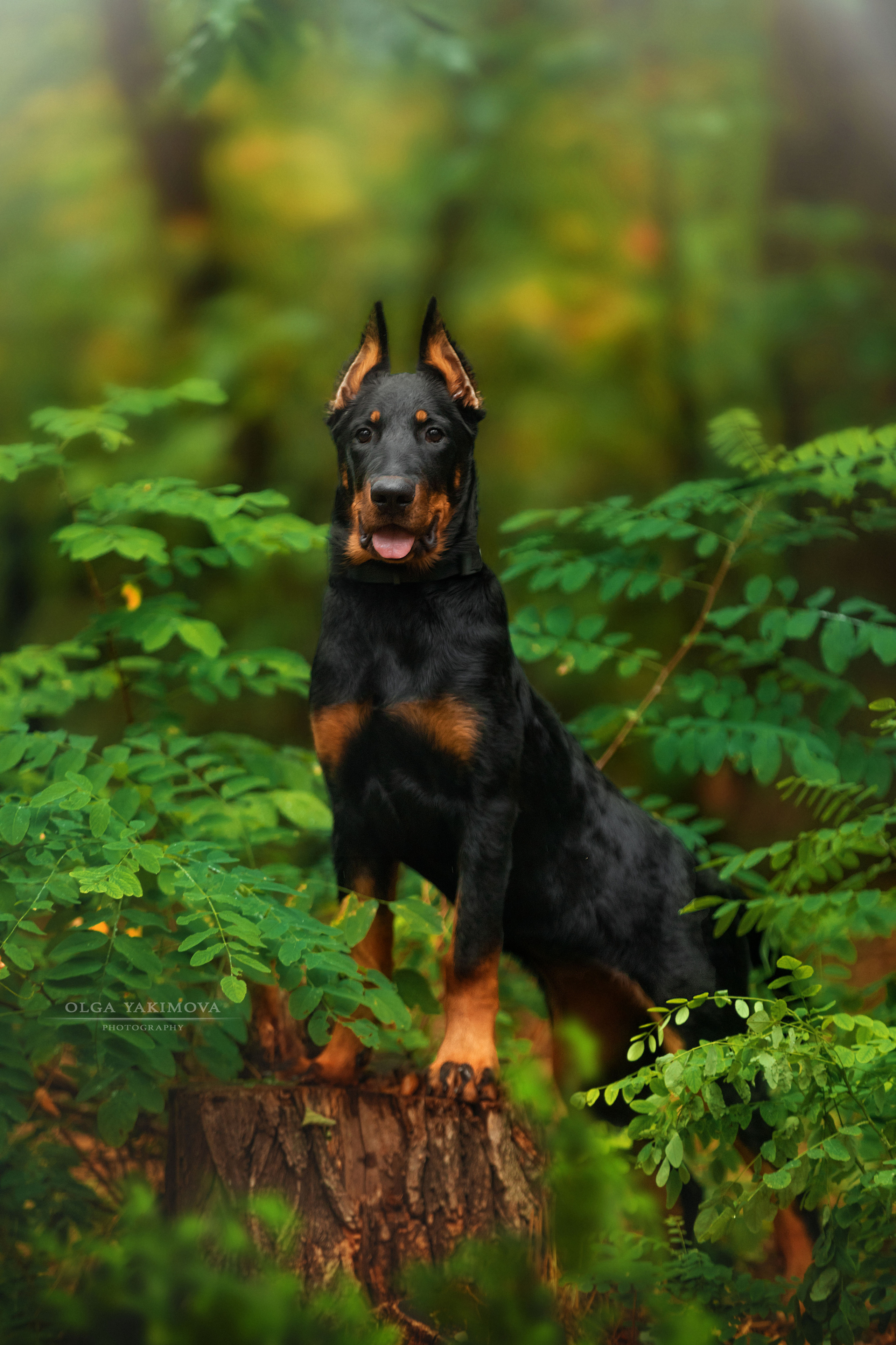 Экстерьер. Фотограф