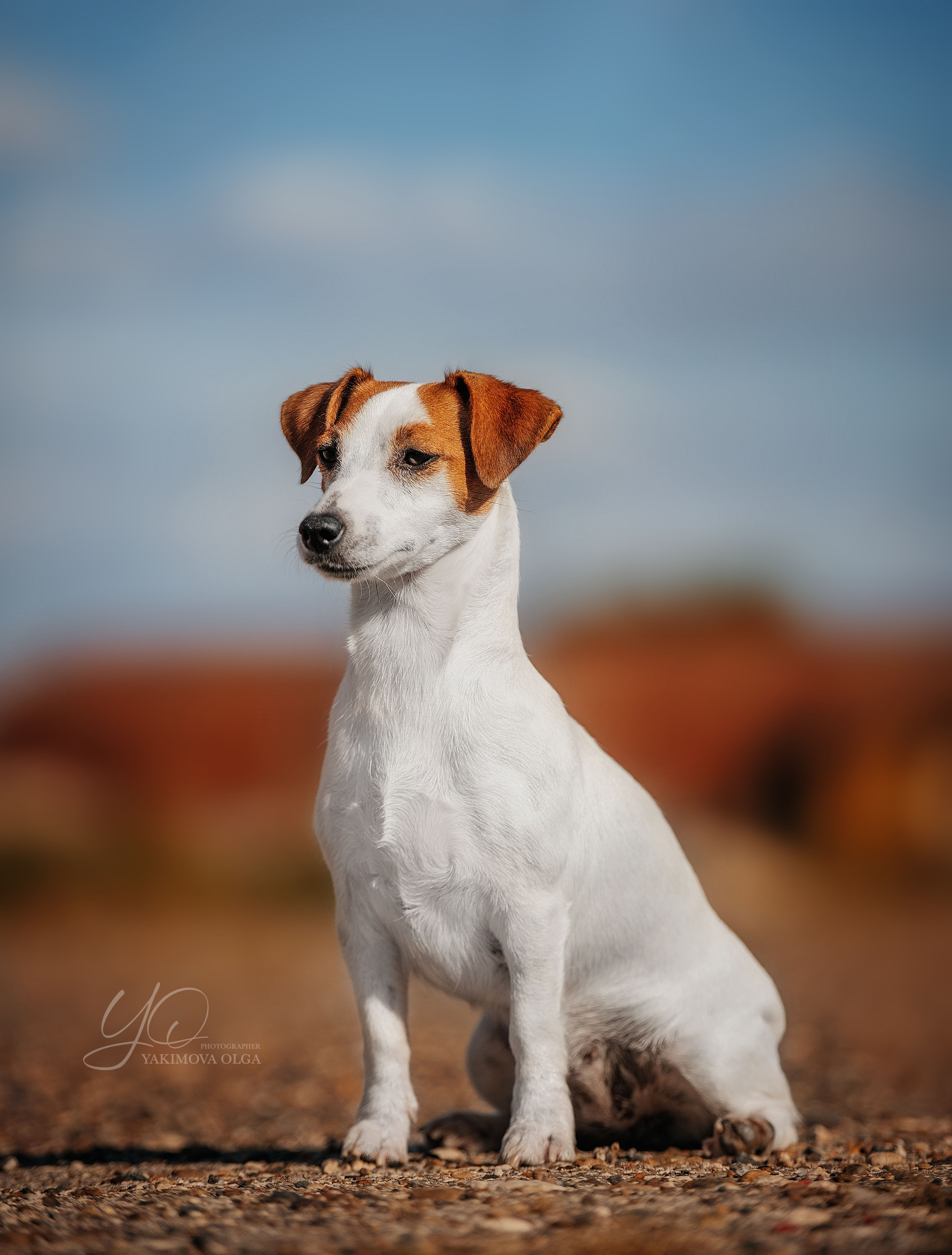 Экстерьер. Фотограф
