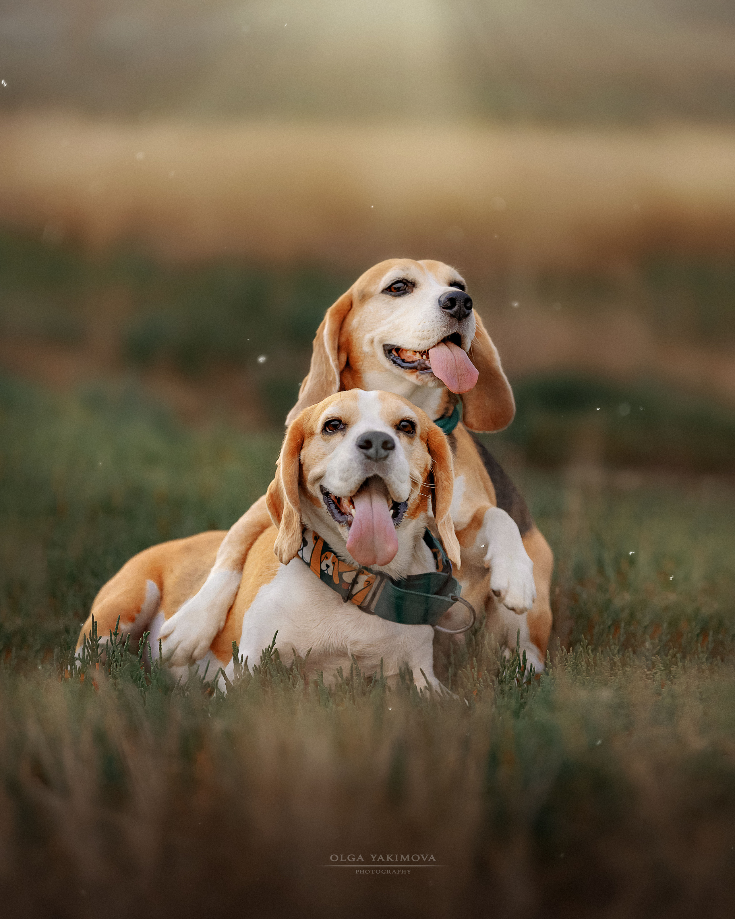 Анна, Варвара и Науми. Фотограф