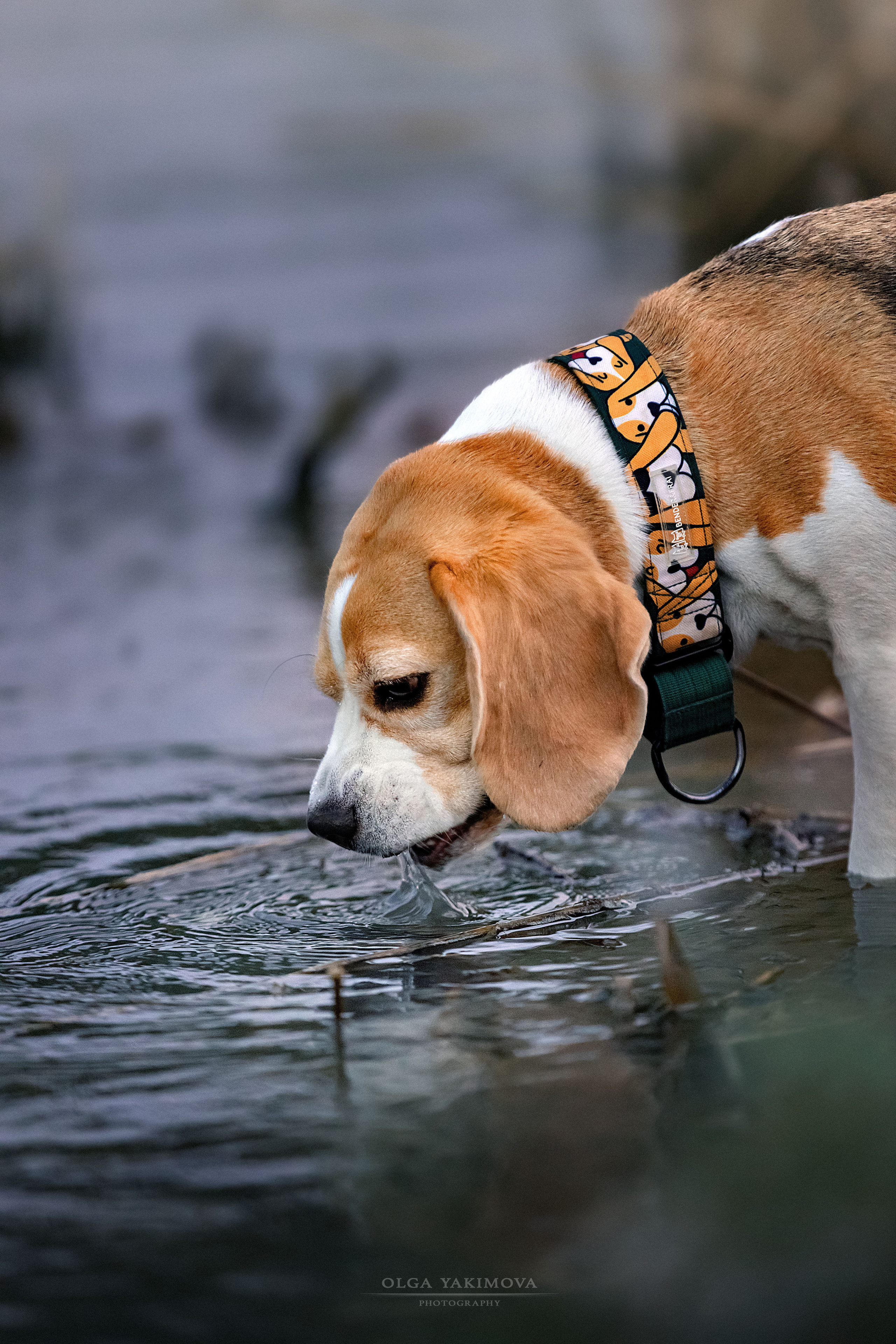 Анна, Варвара и Науми. Фотограф