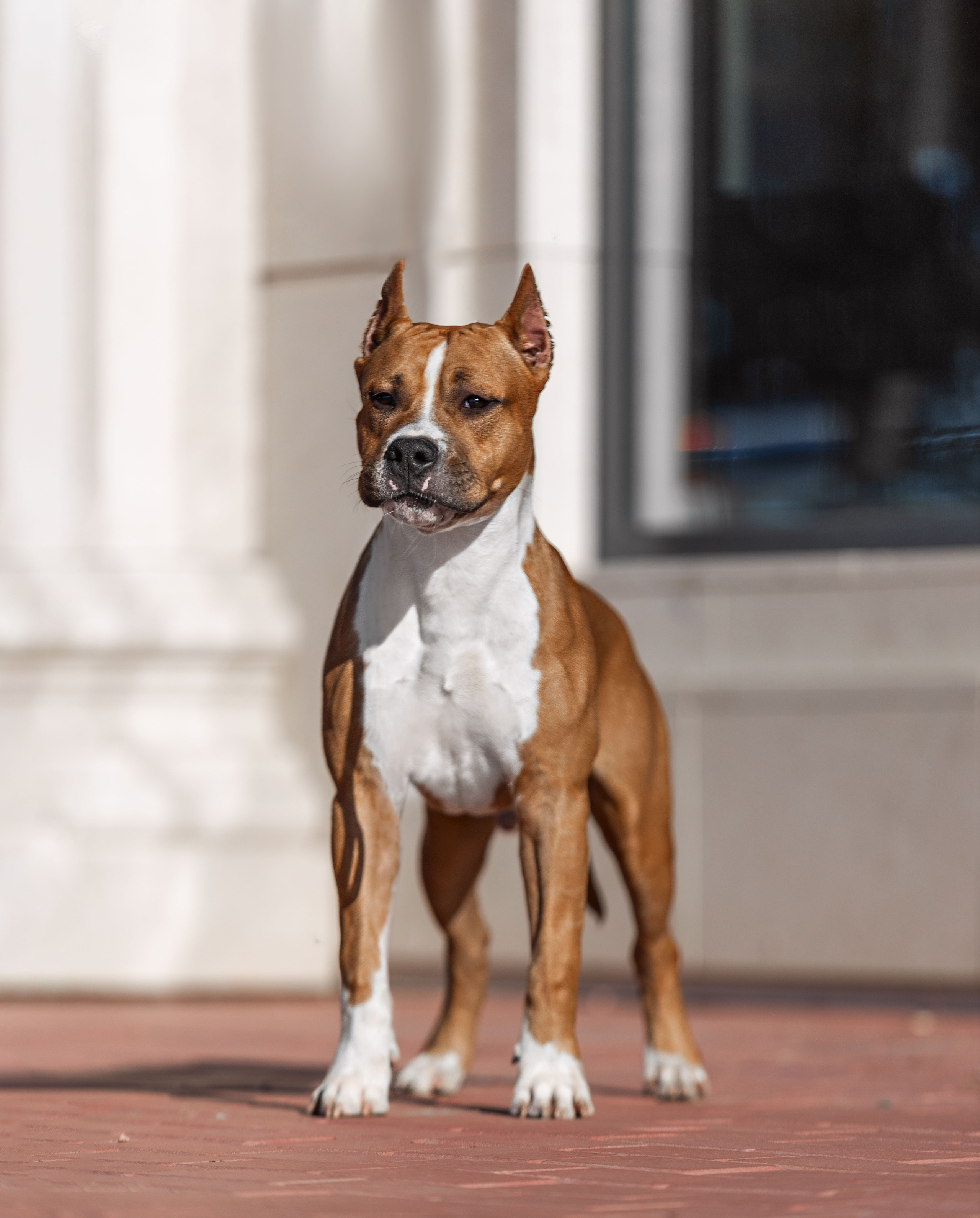 Экстерьер. Фотограф